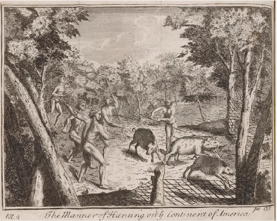 wild_pigs_columbian_exch.png