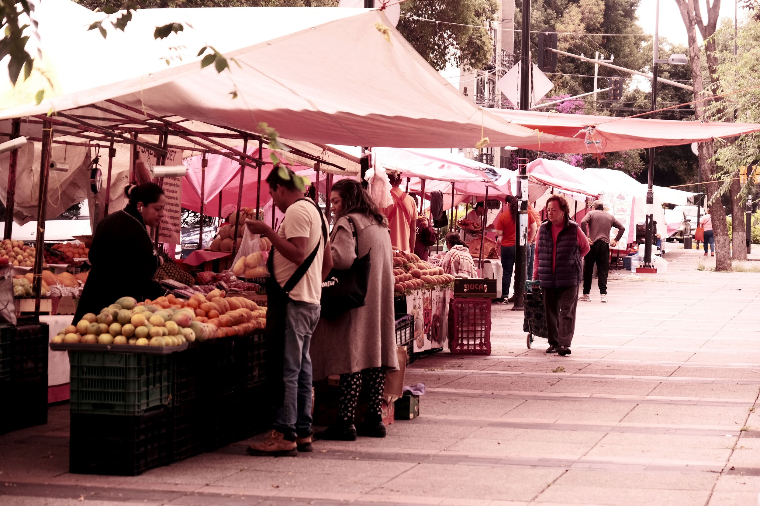 DSCF5498.JPG