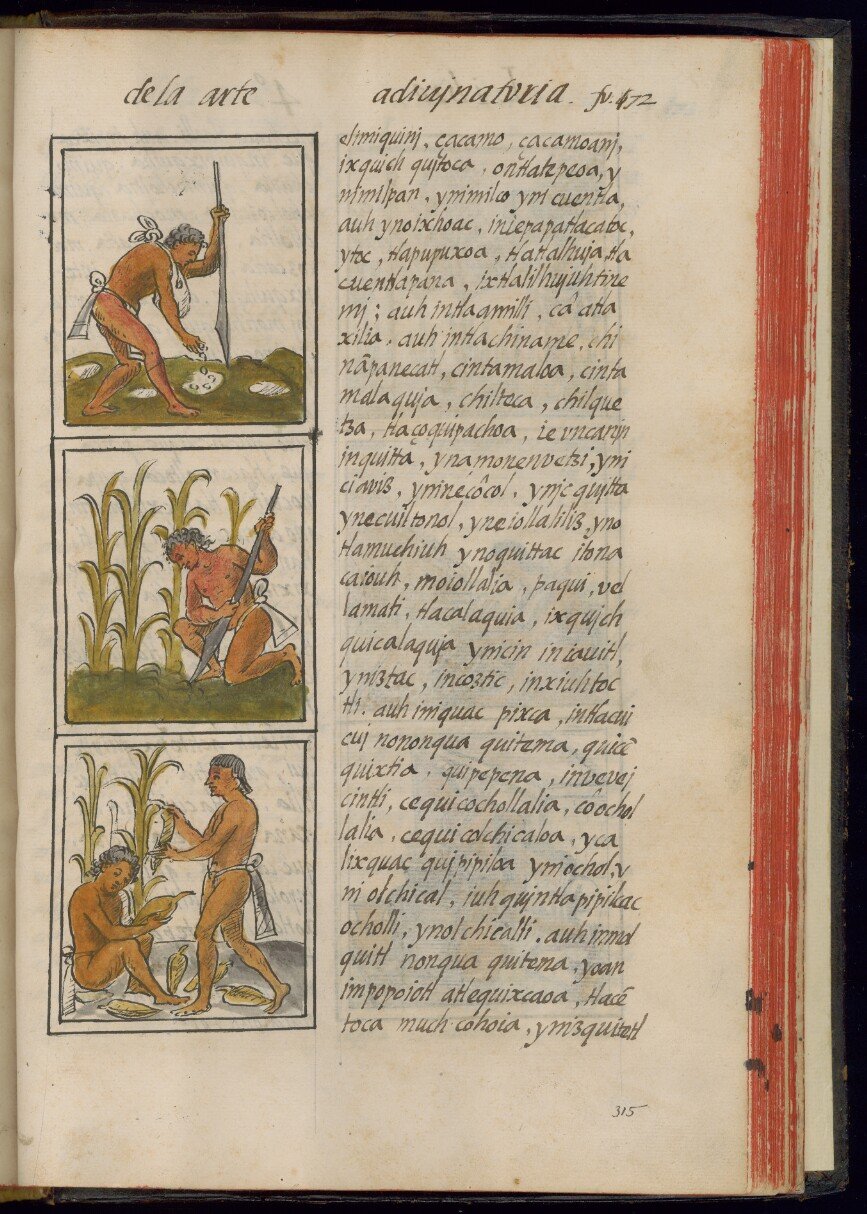 book4folio72r.jpg