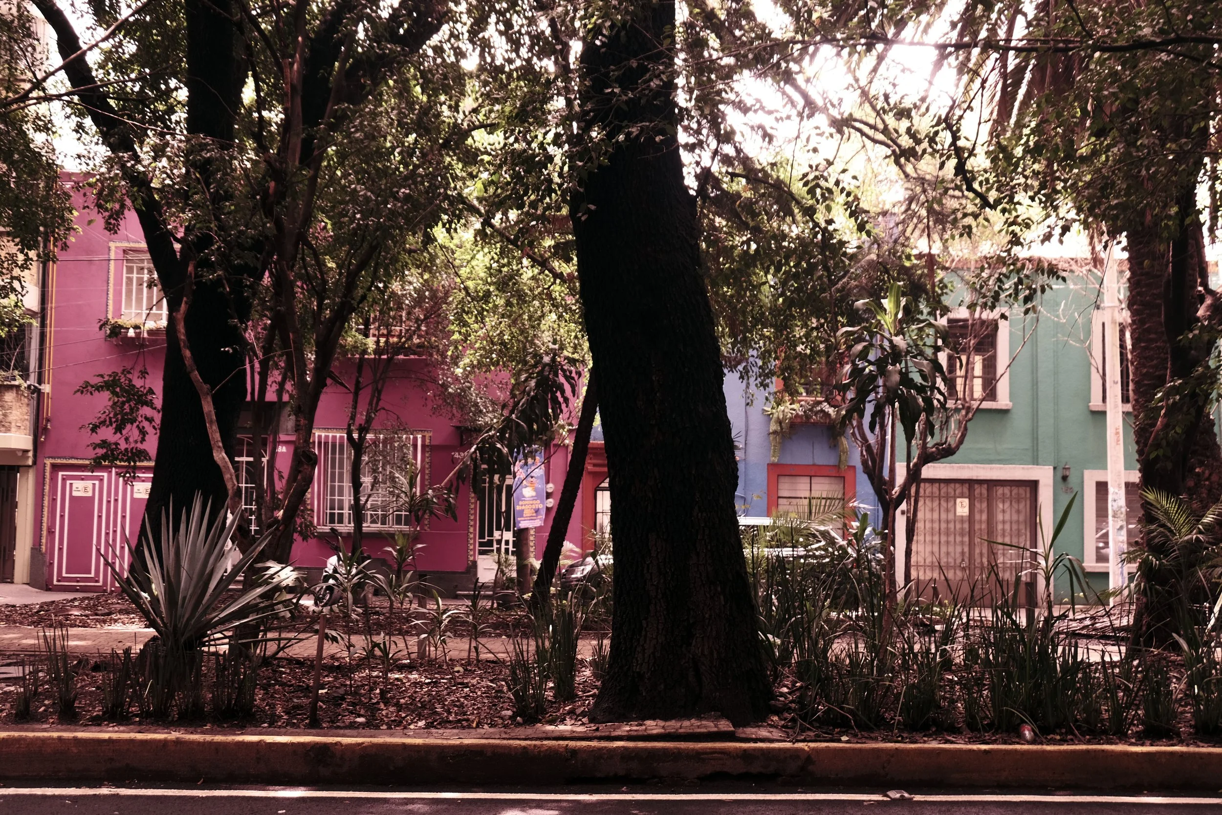 DSCF5577.JPG