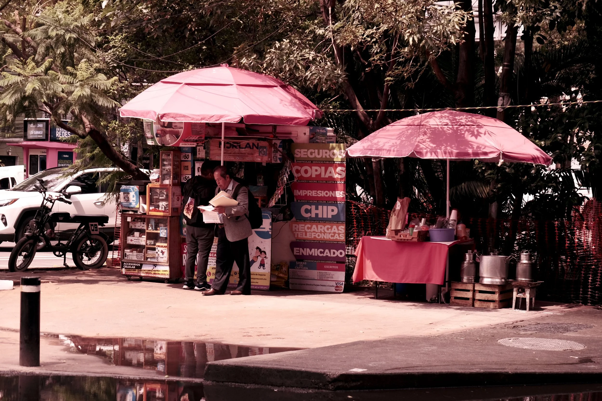 DSCF5565.JPG