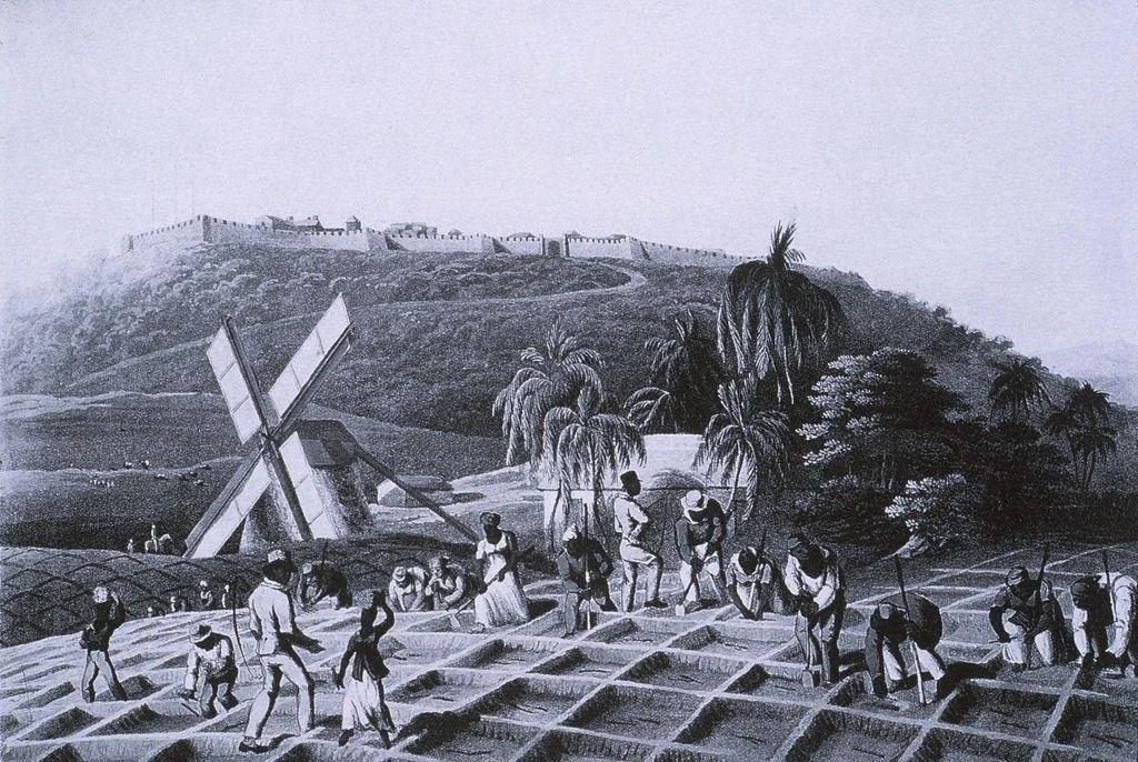 Slavesworkingsugar-17-18th C.jpg