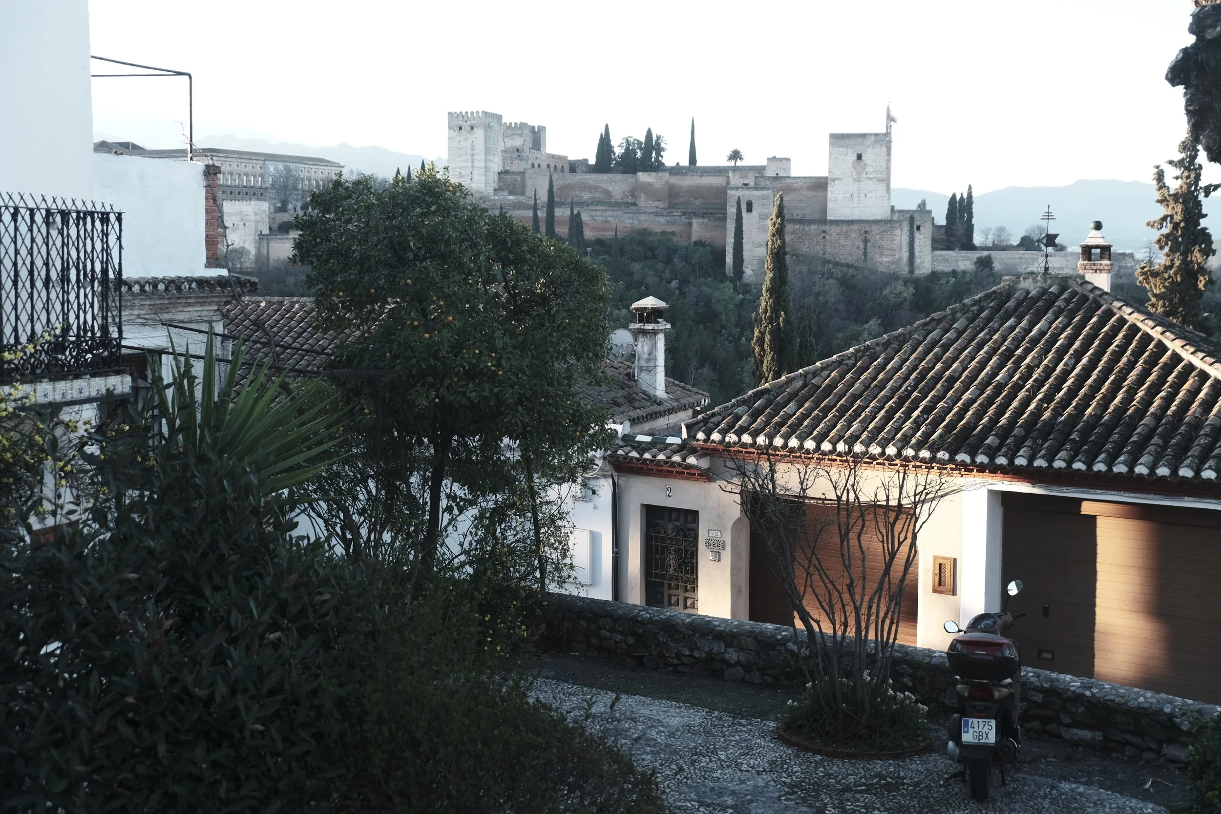 DSCF3849.JPG