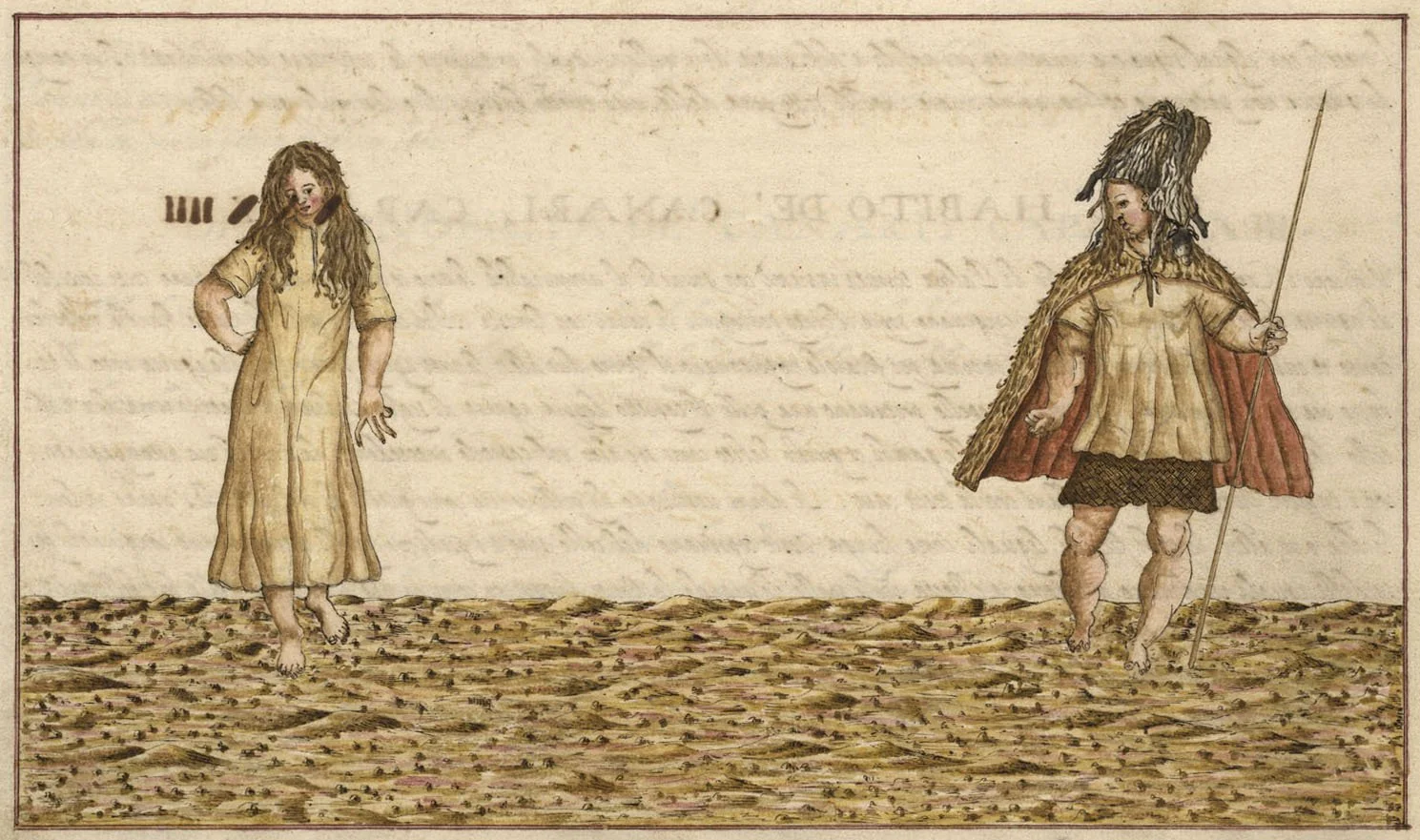 Canarios_Torriani_1590.jpg
