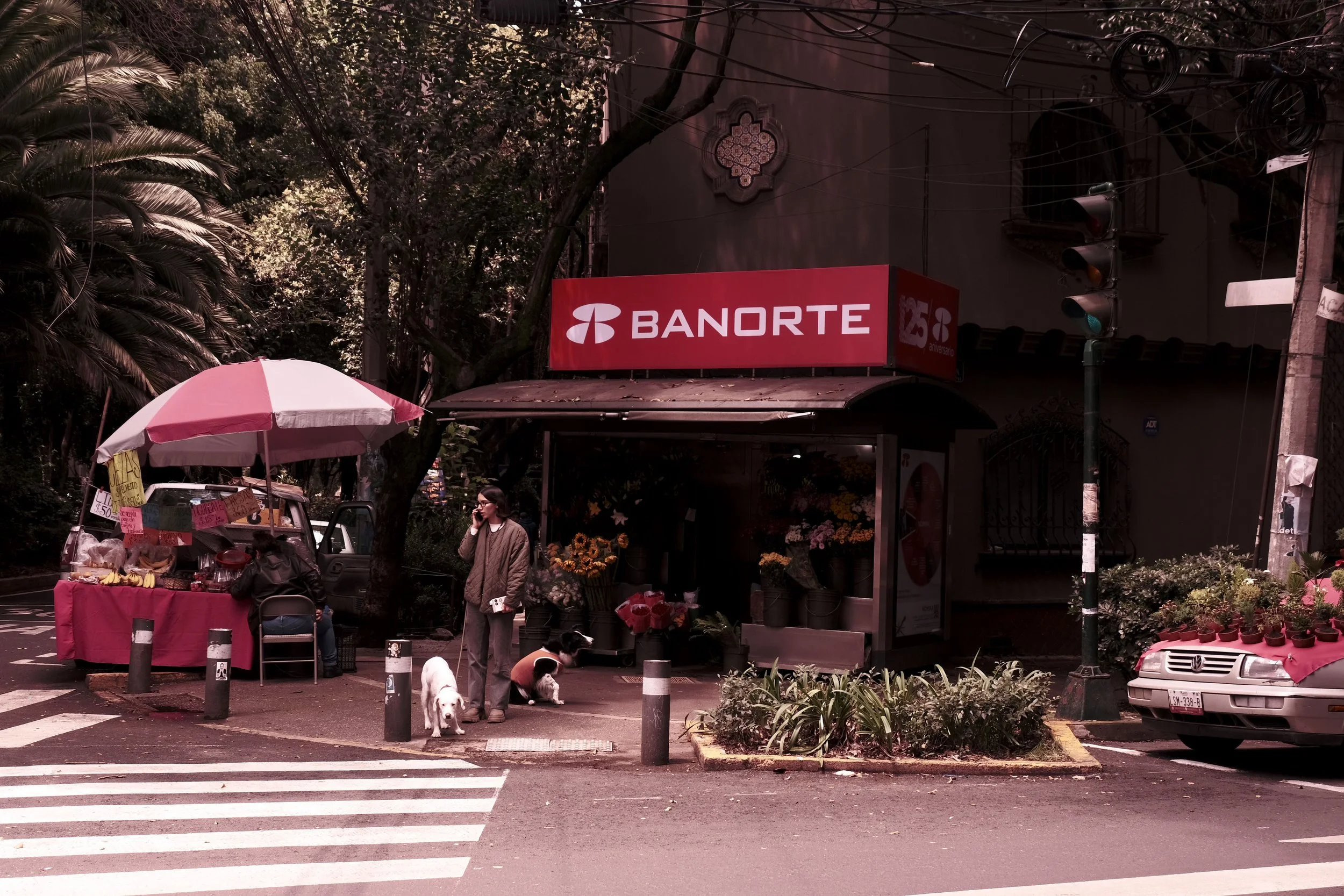 DSCF5574.JPG