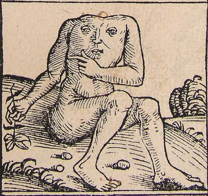 chest-face-1.jpg