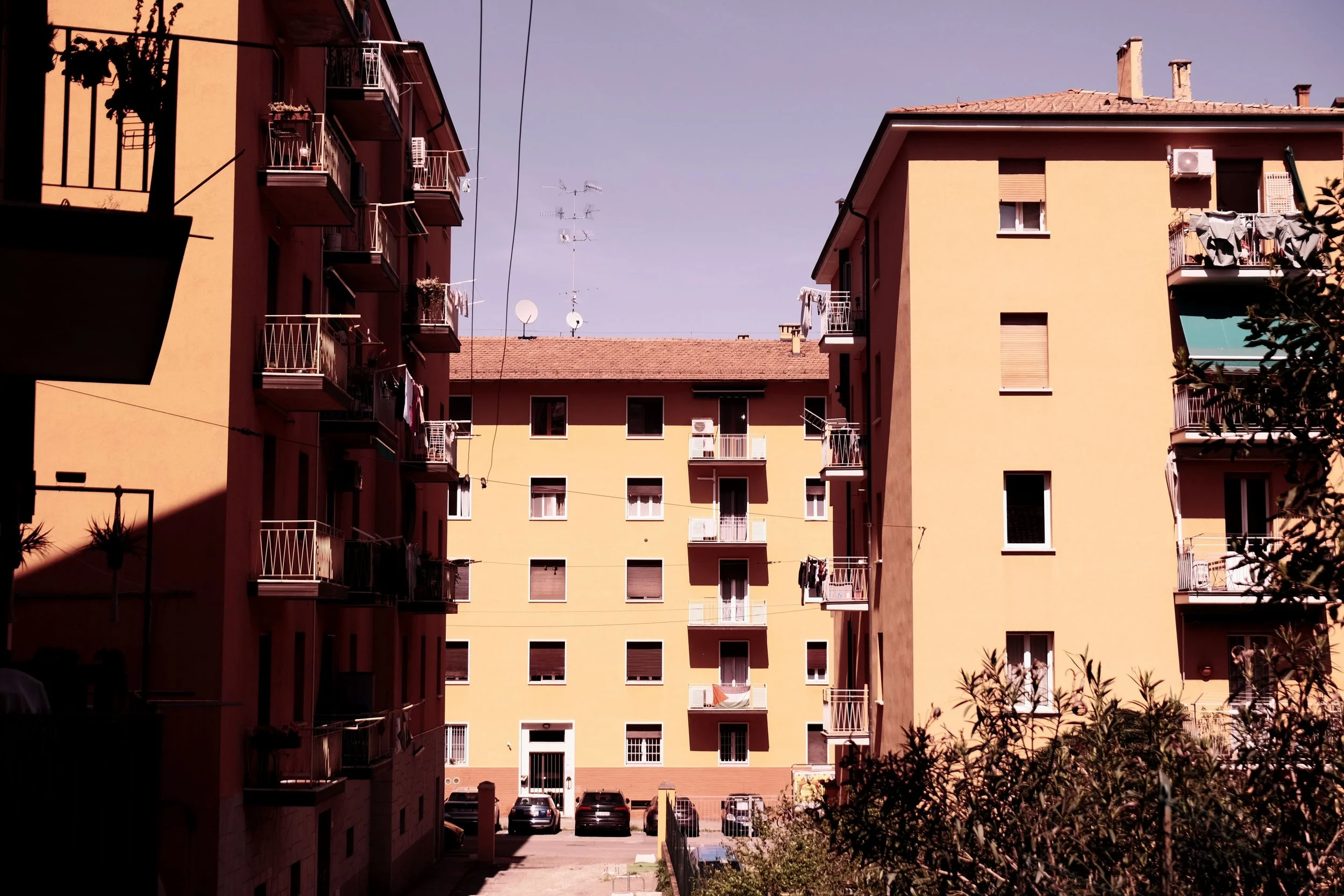 DSCF6512.JPG