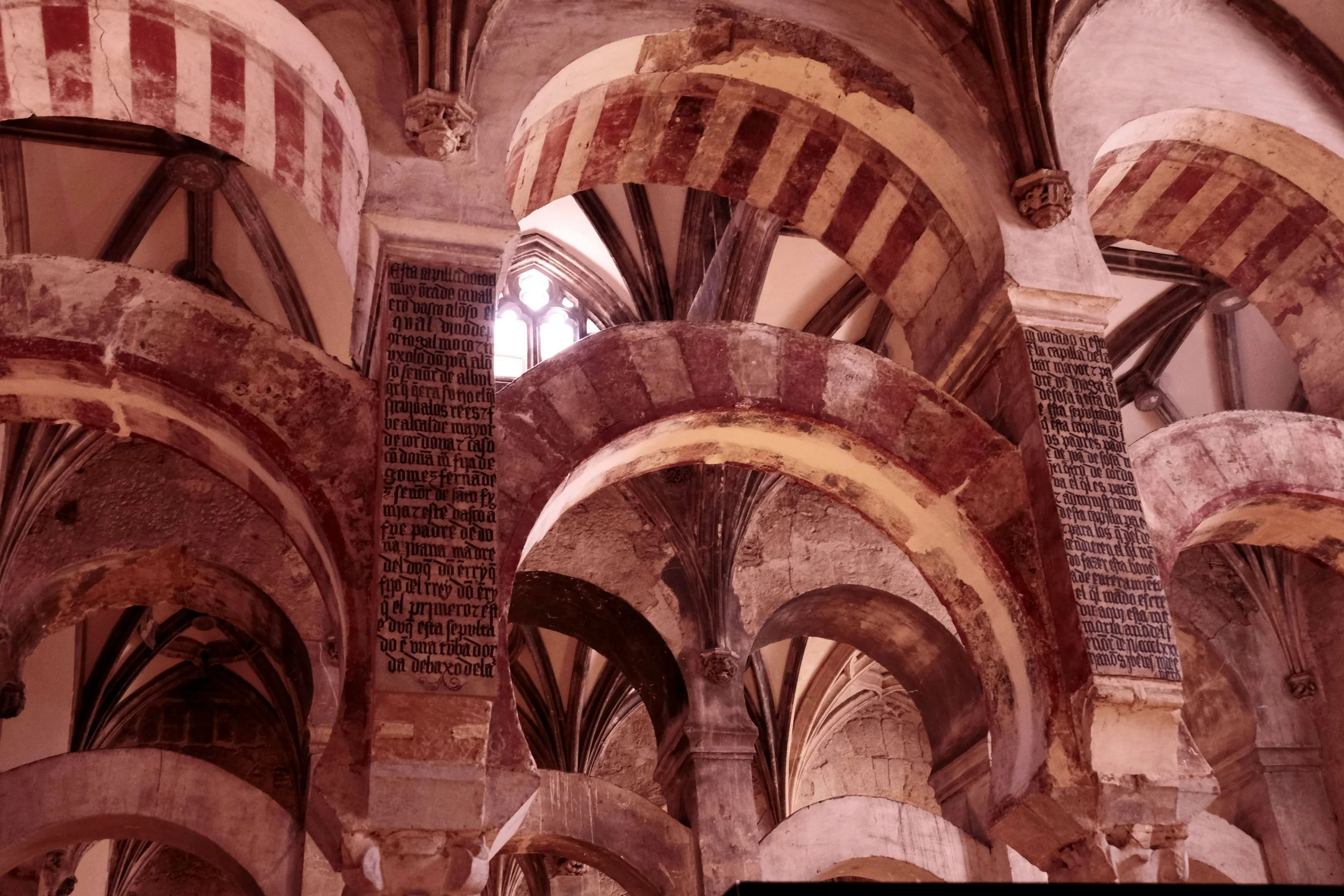 DSCF4844.JPG