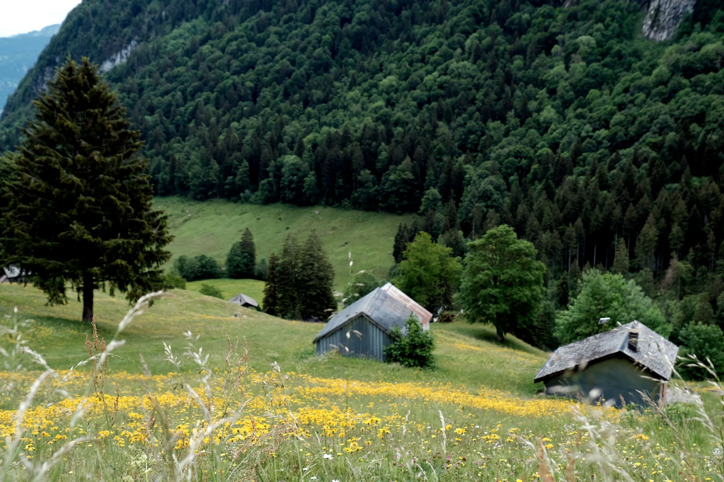 DSCF7519.JPG