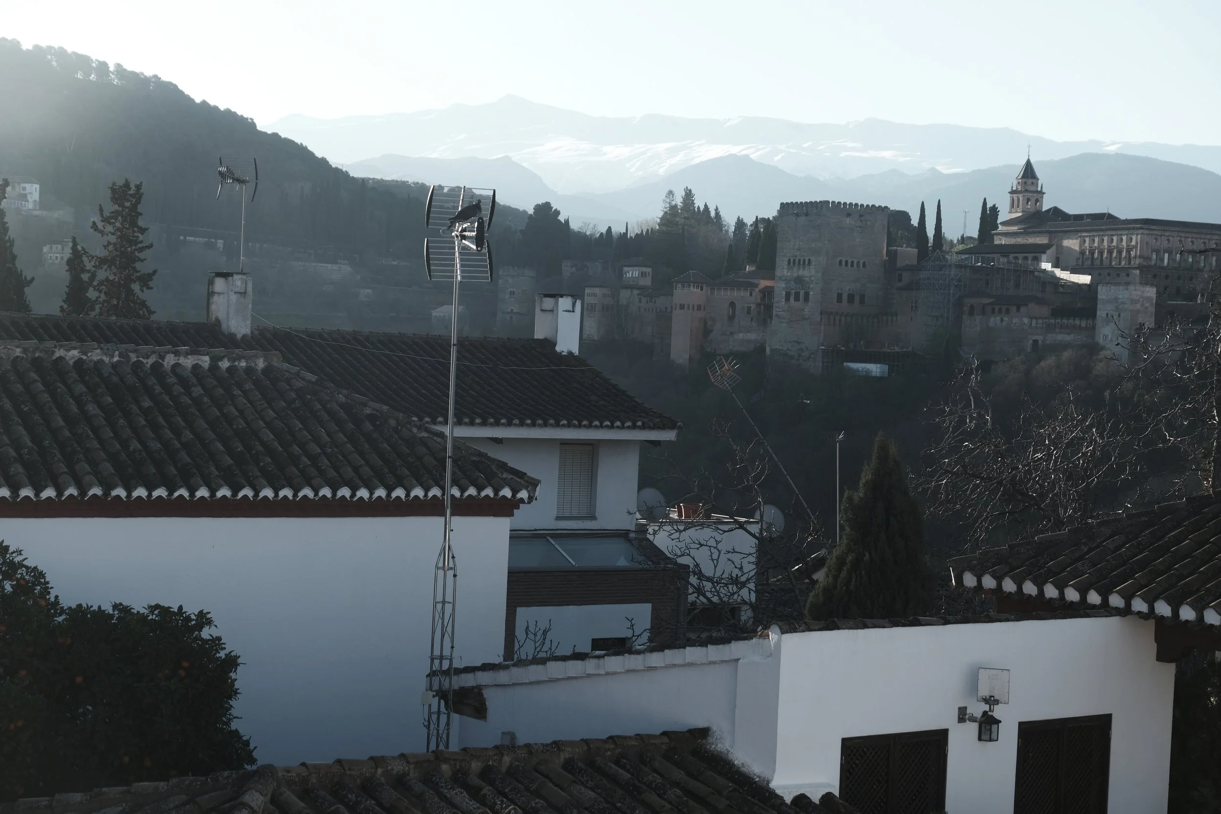 DSCF3904.JPG