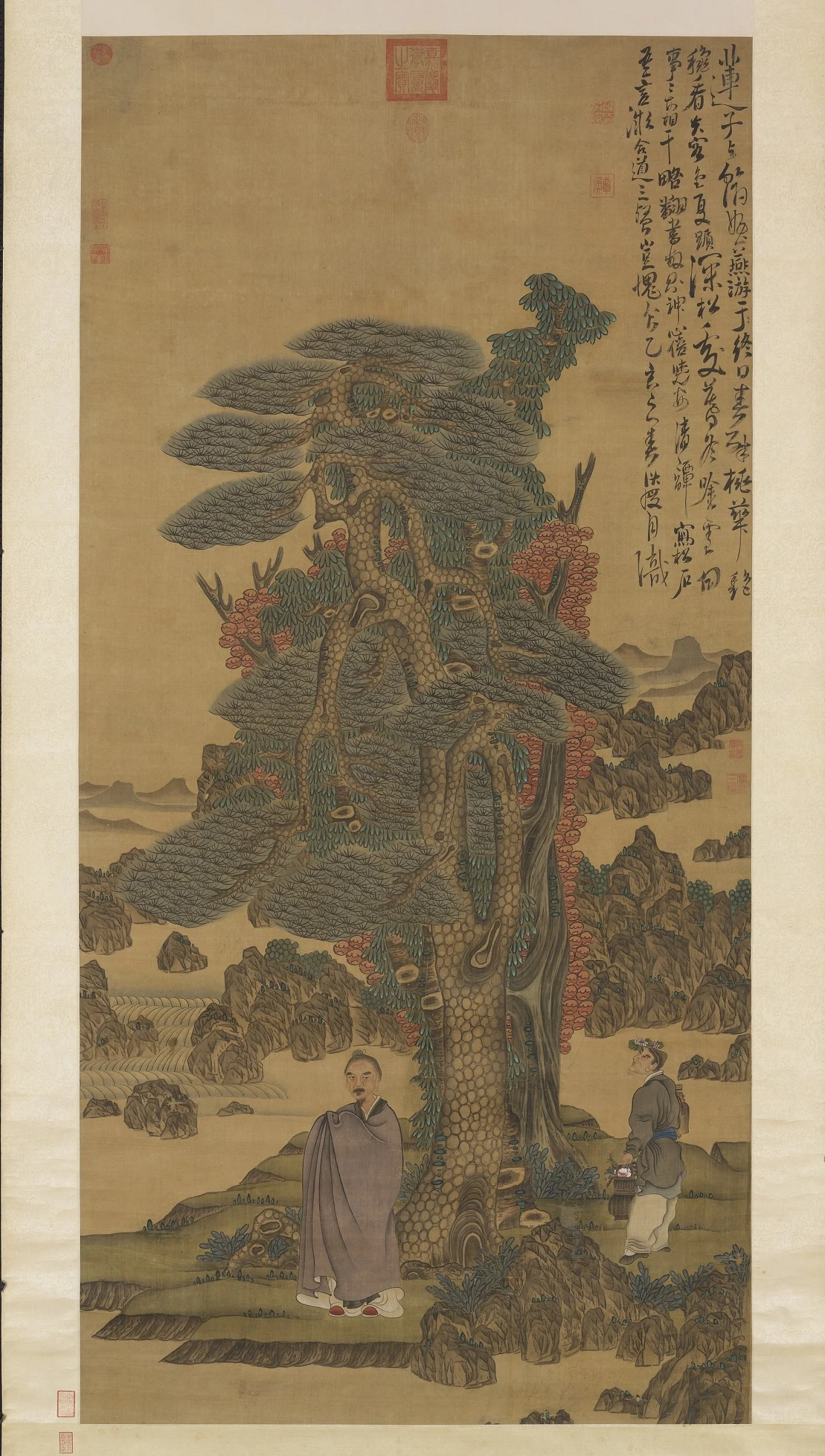immortal under pine.jpg