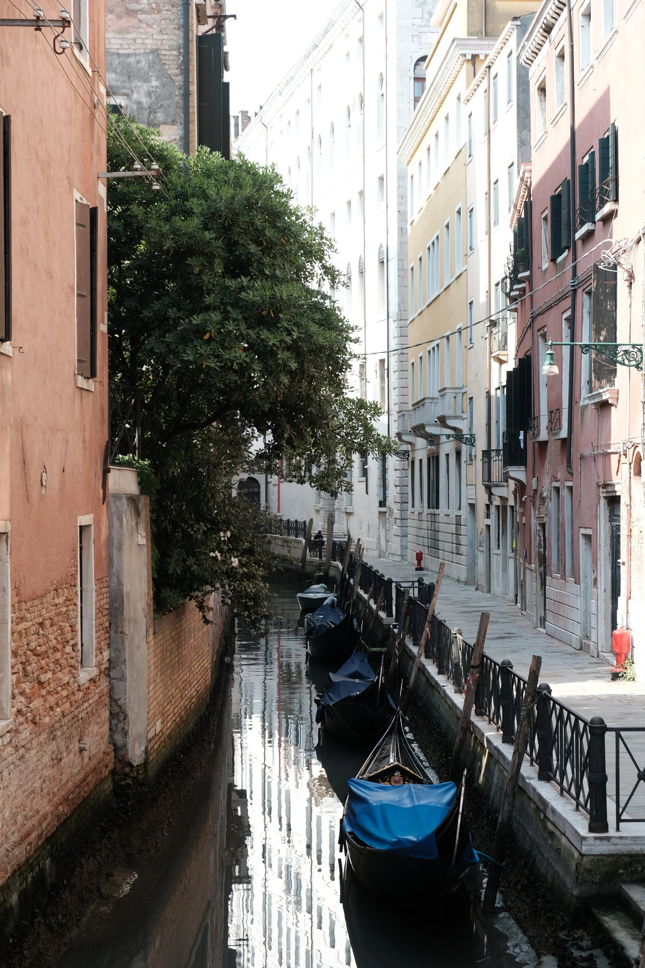 DSCF7718.JPG