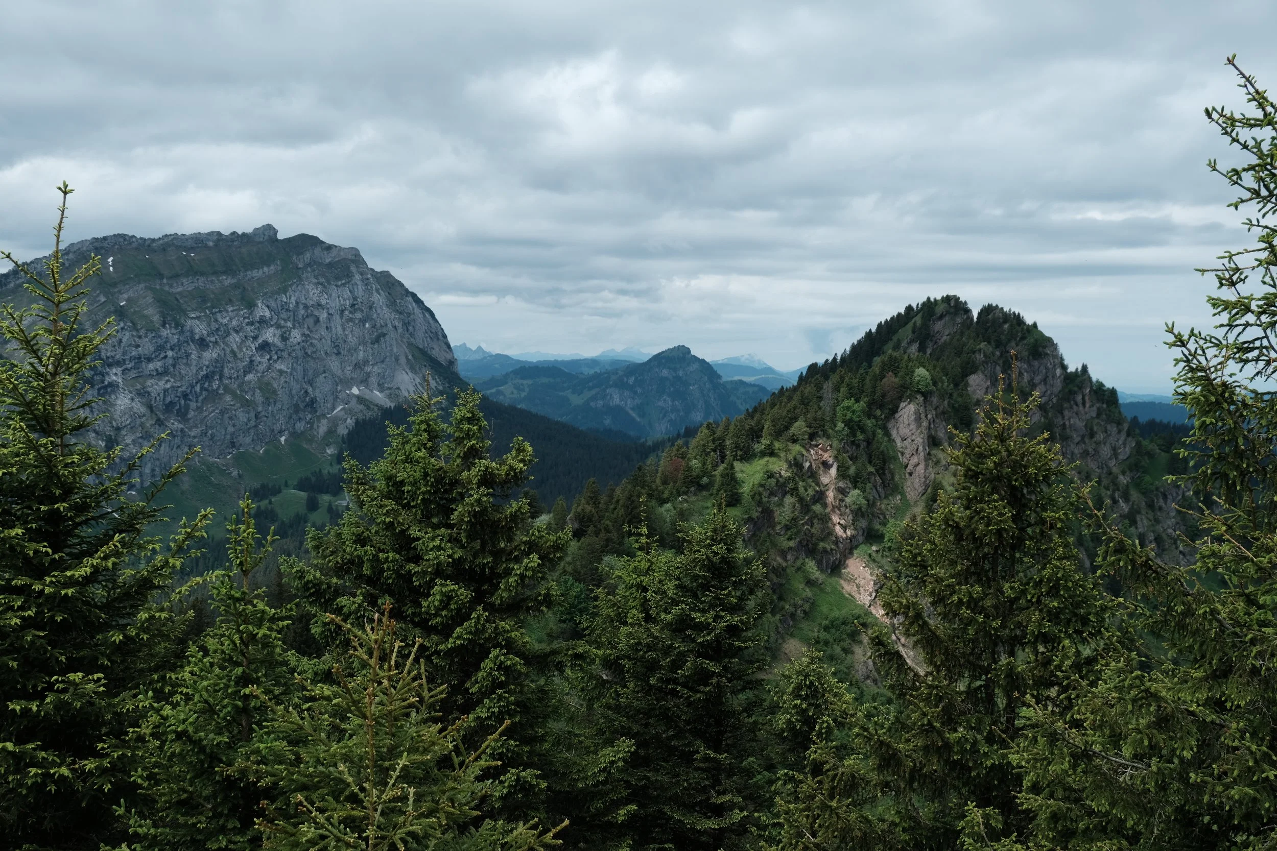 DSCF7444.JPG