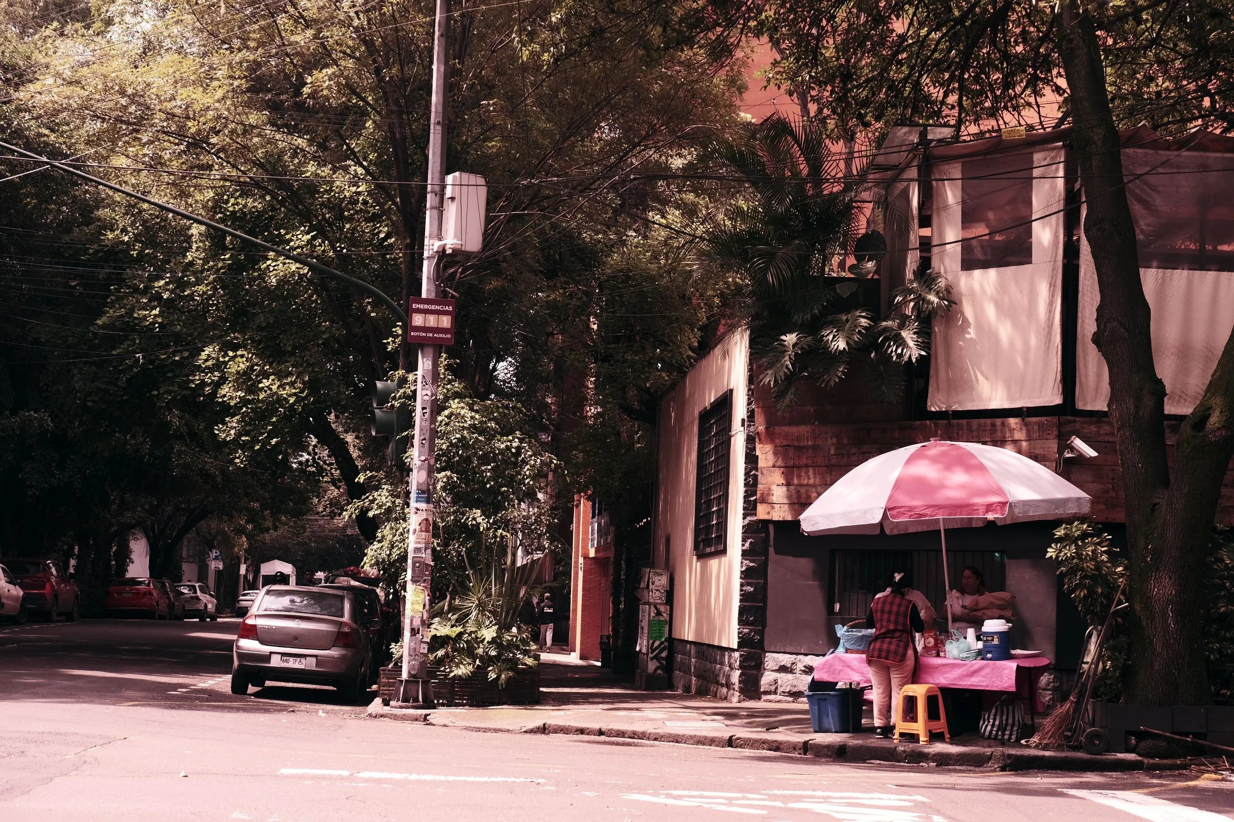 DSCF5540.JPG
