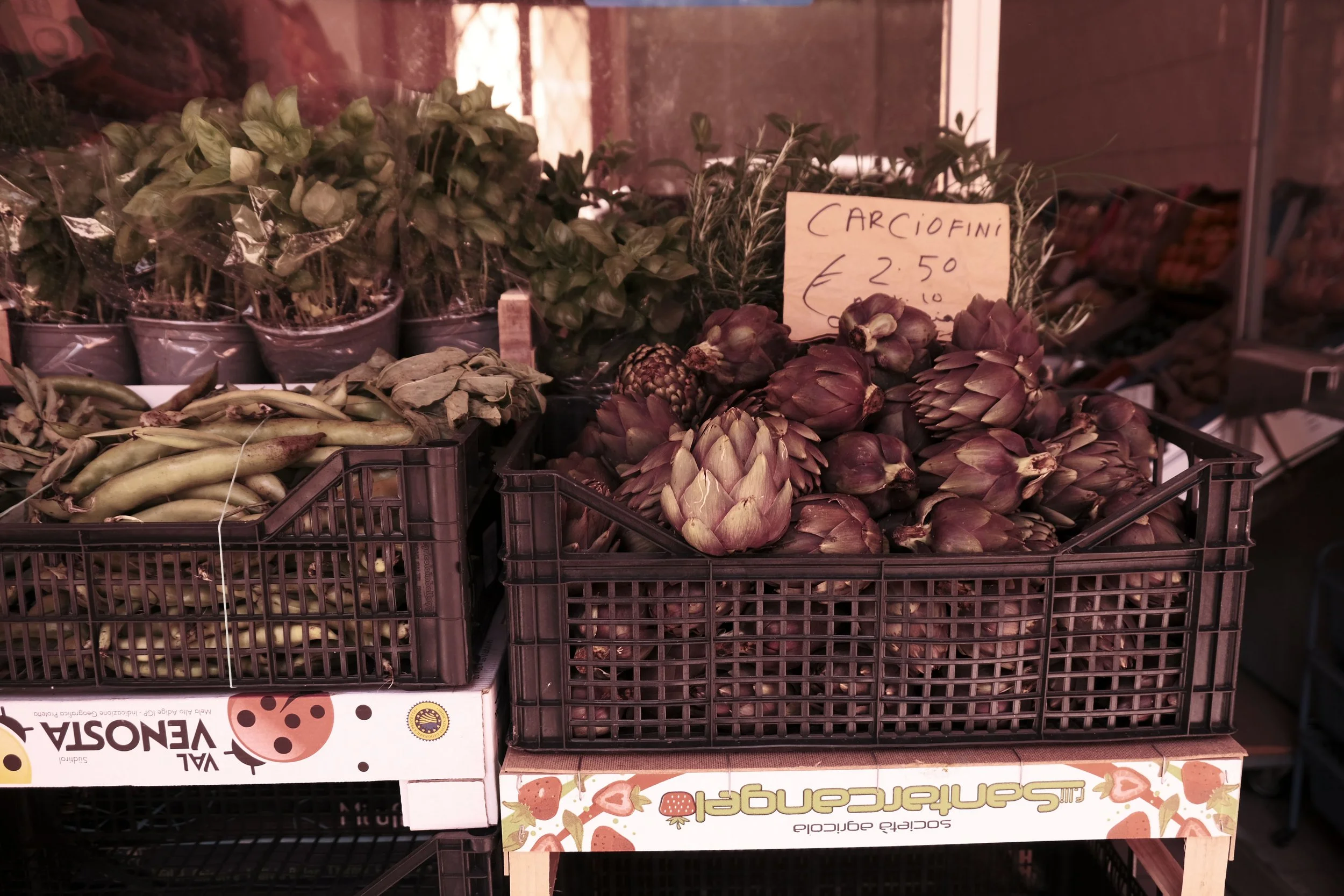DSCF6514.JPG
