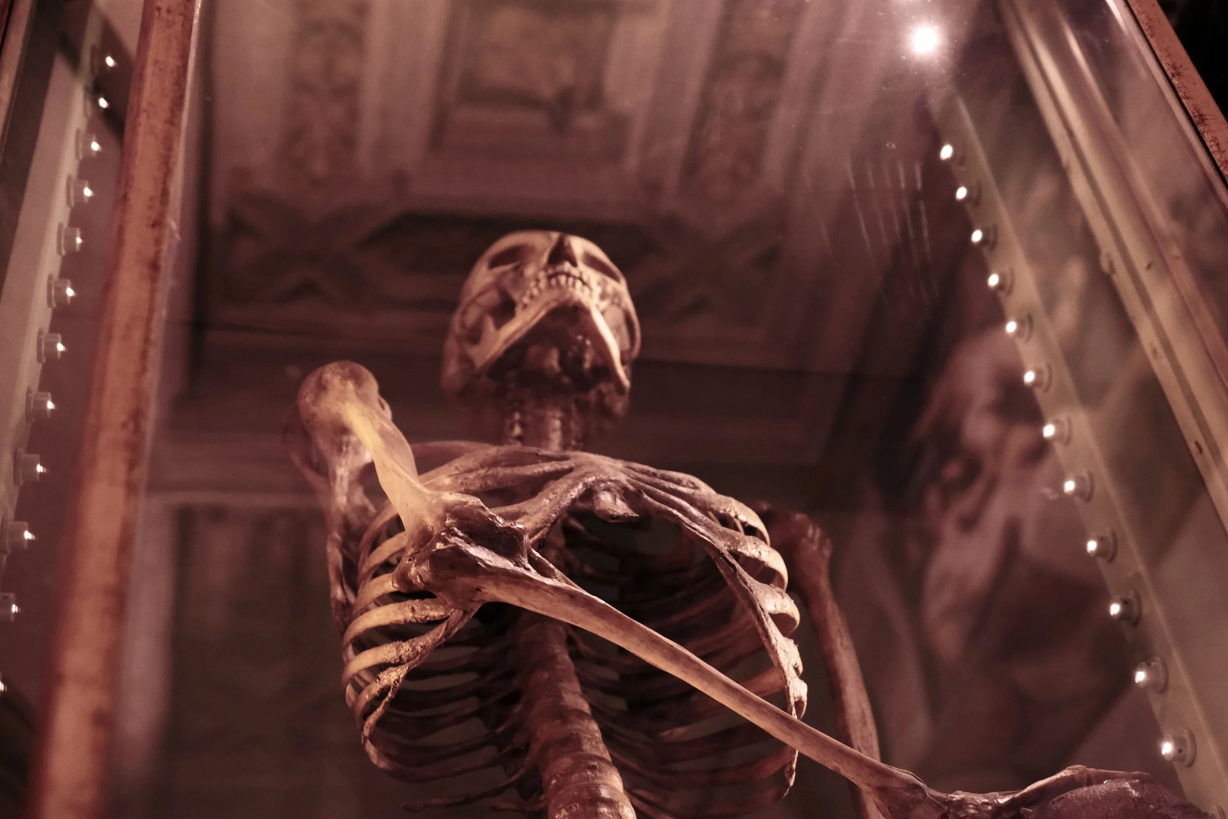DSCF6623.JPG