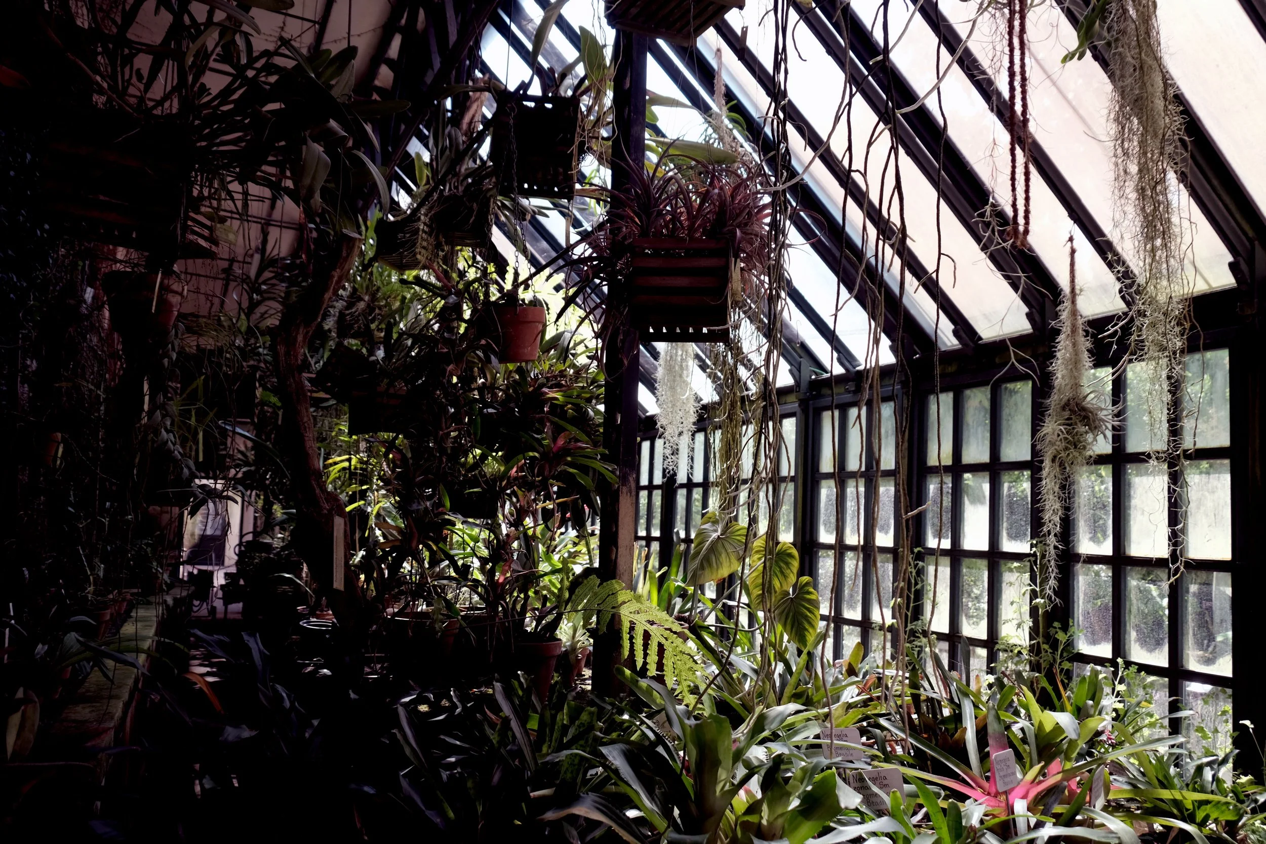 DSCF7879.JPG