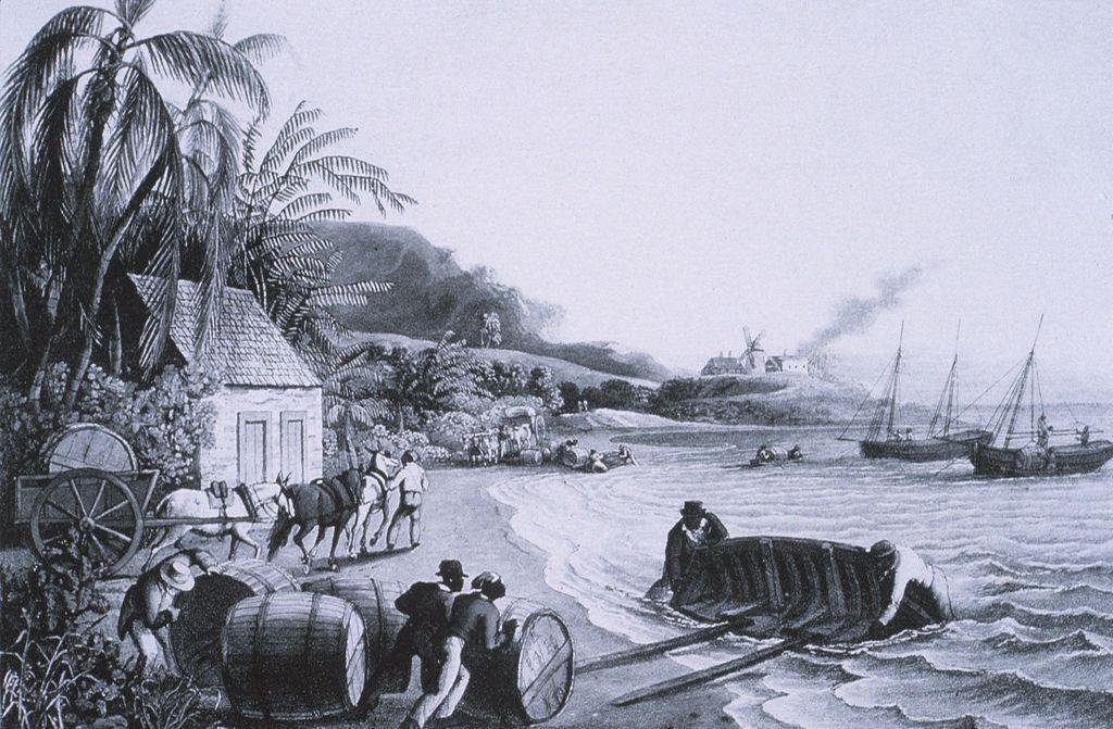 Loadingsugarmolasses-17-18th C.jpg