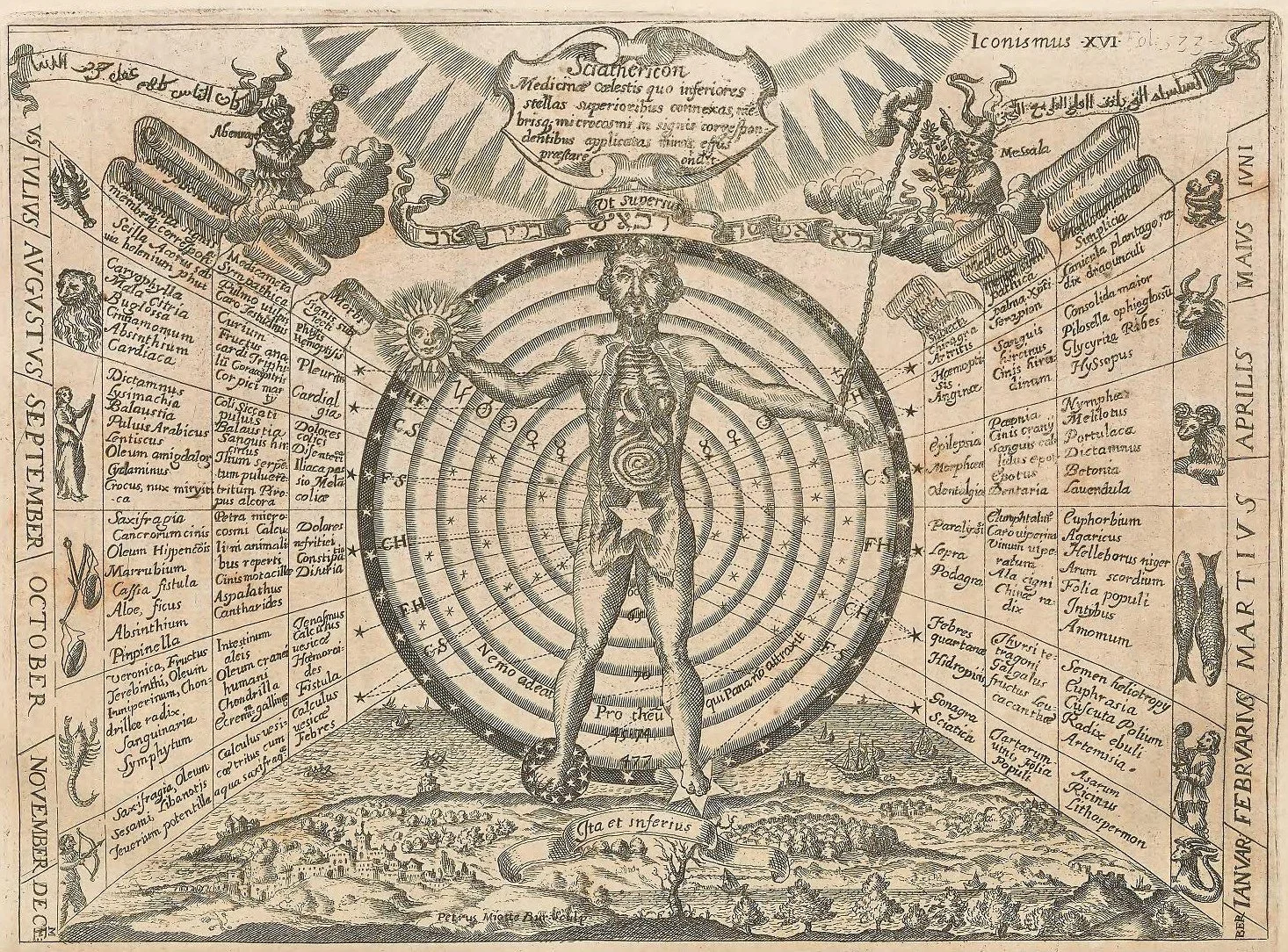 Illustration_of_doctrine_of_signatures_from_Ars_Magna_Lucis_Et_Umbrae.jpg