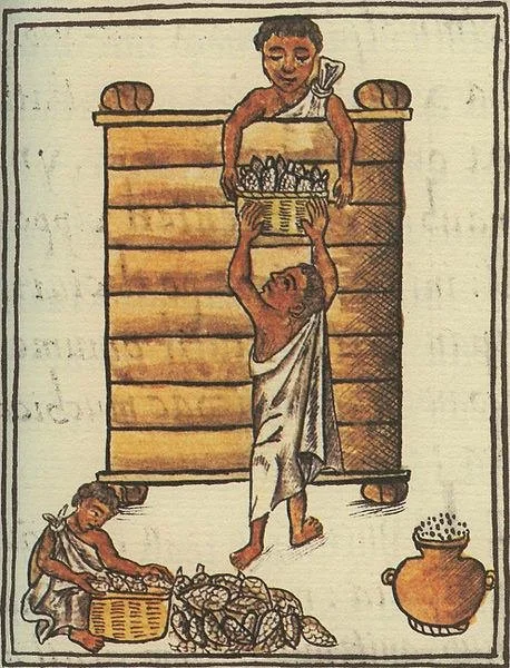 aztec-agriculture-2712.jpg