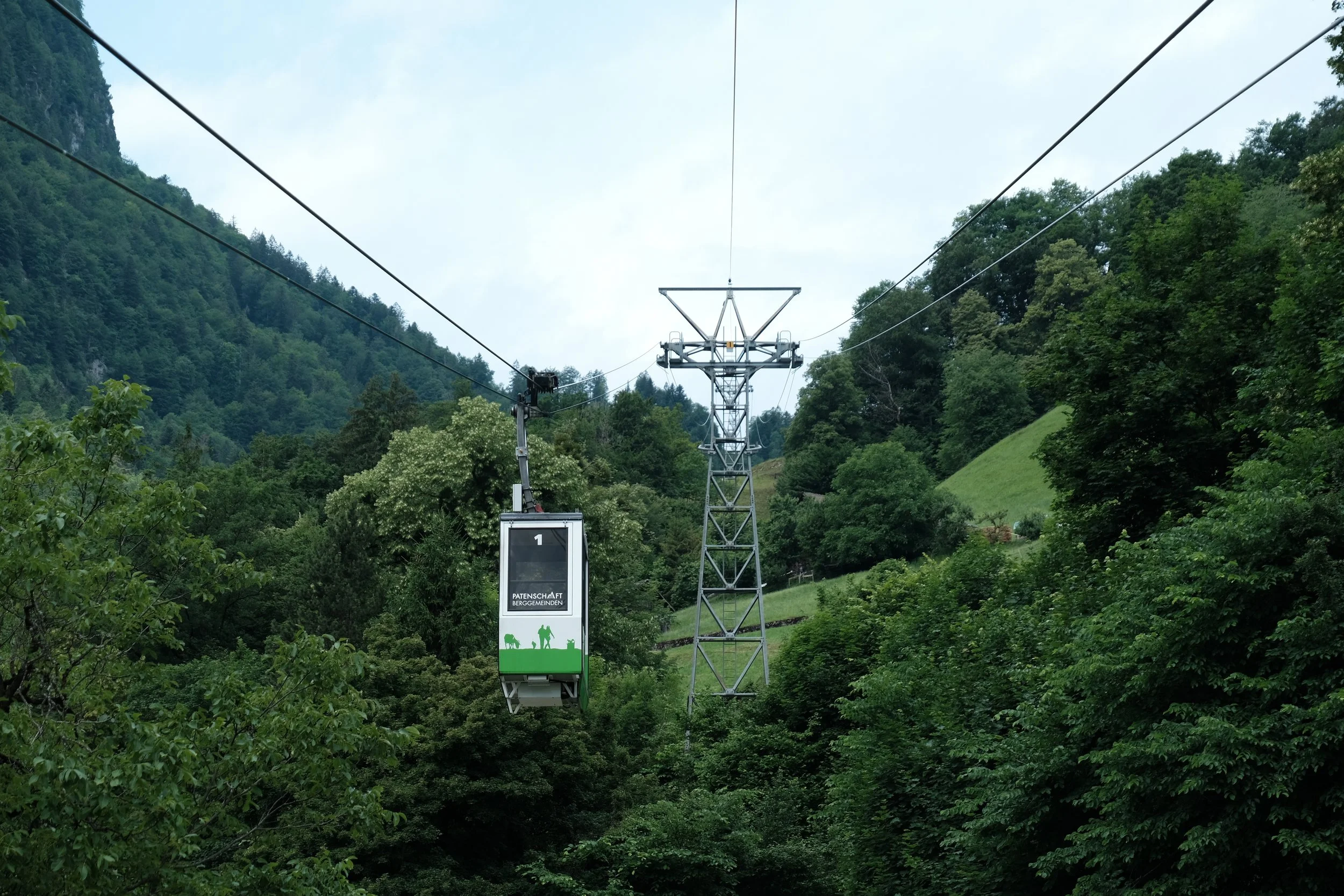 DSCF7396.JPG