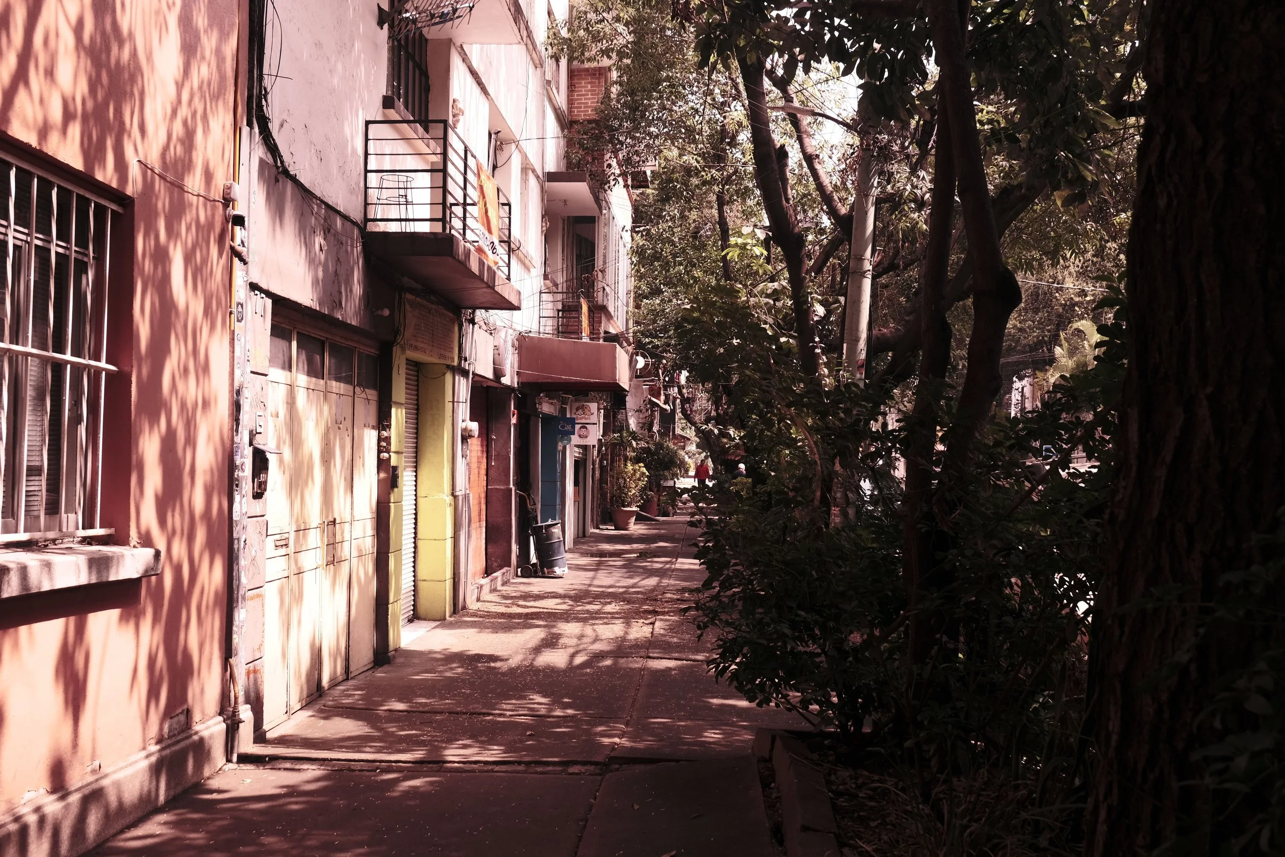 DSCF5531.JPG