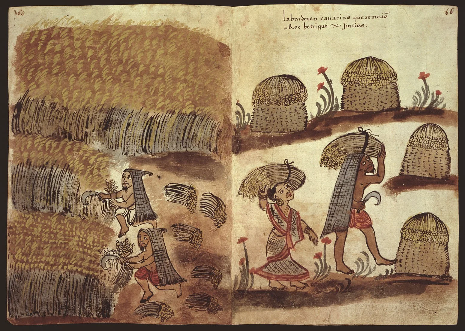 Codice_Casanatense_Farmers_from_the_Kanara_Coast.jpg