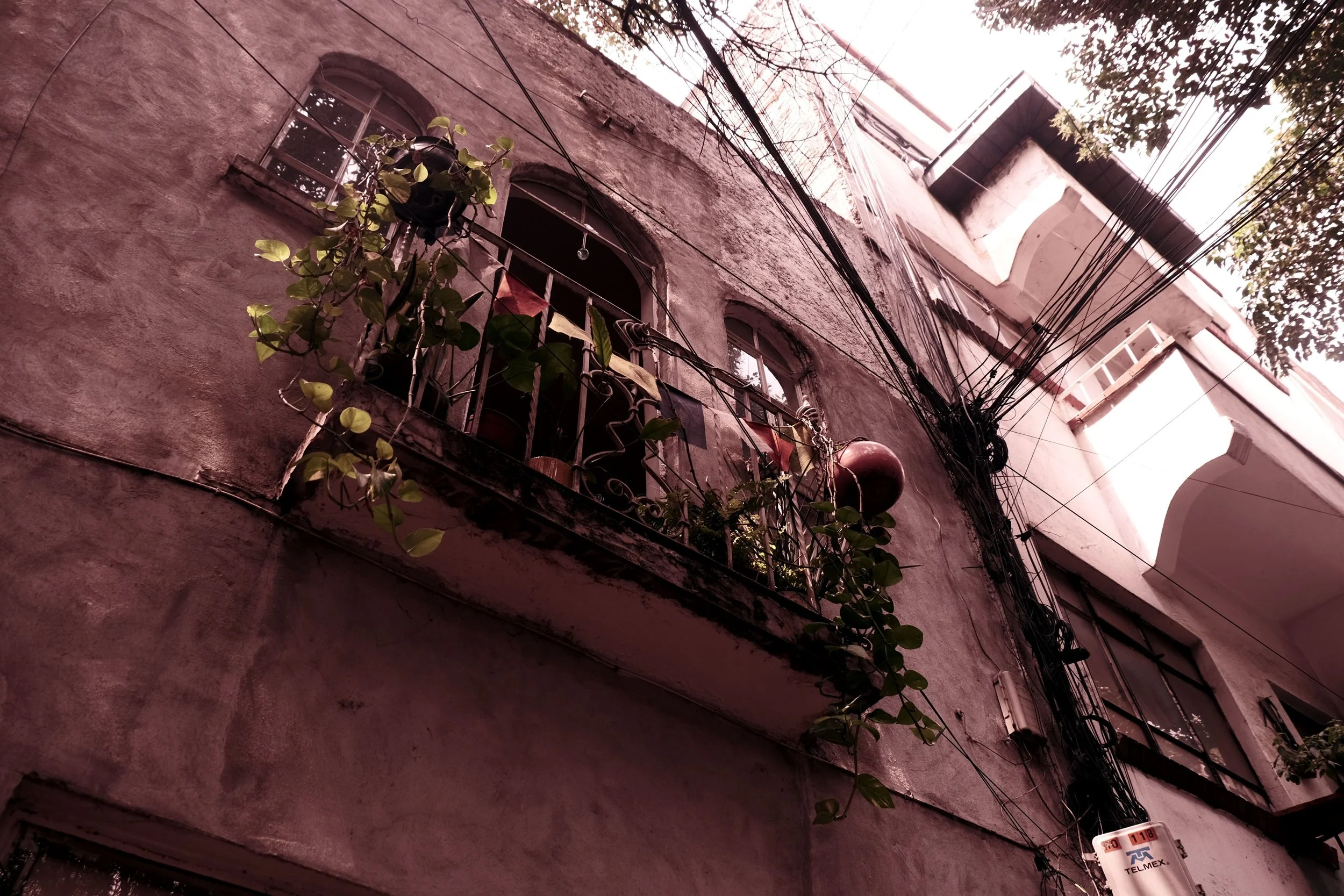DSCF5558.JPG