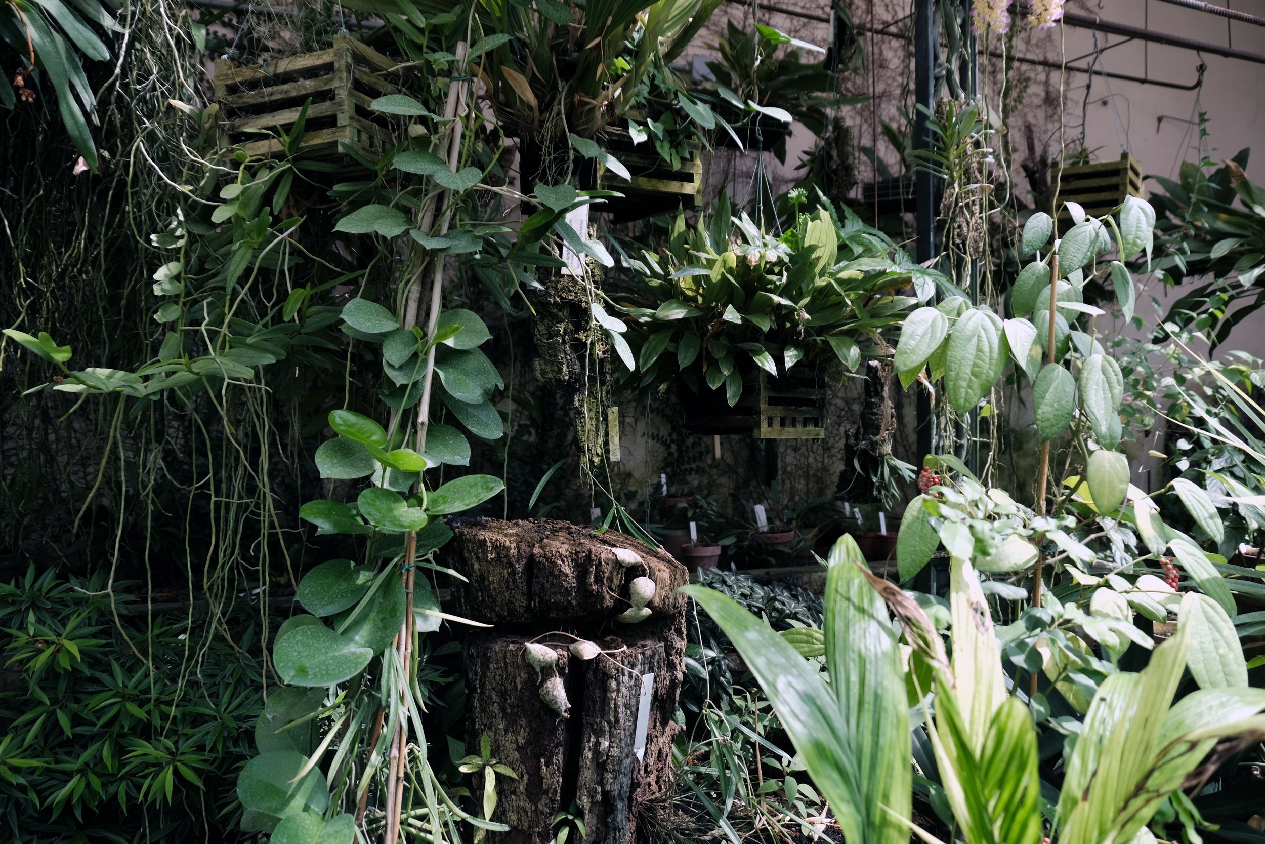 DSCF7891.JPG