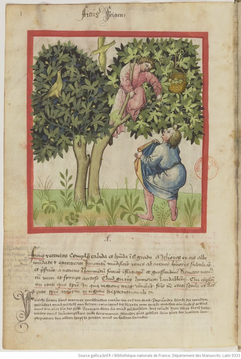 IBN_BUTLÂN_Tacuinum_sanitatis__btv1b105072169_16.jpeg