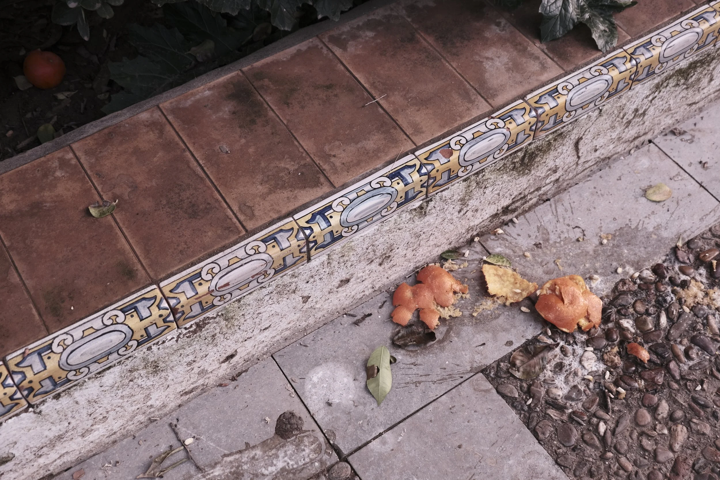 DSCF2280.JPG