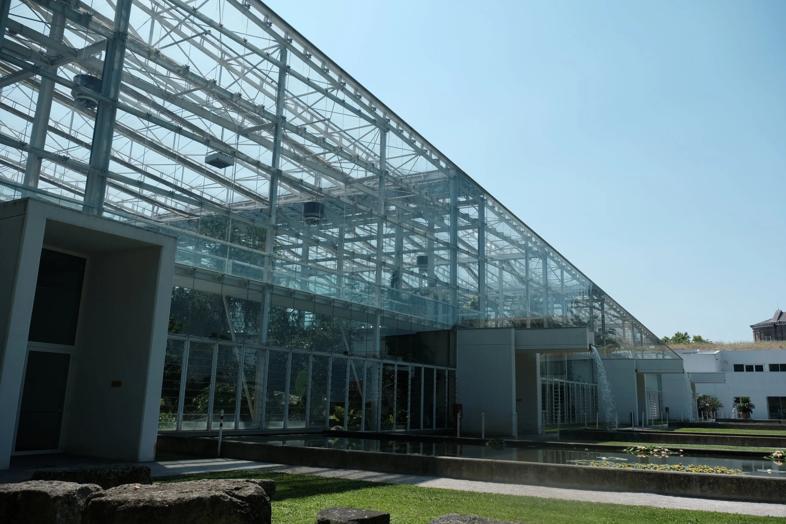 DSCF7898.JPG
