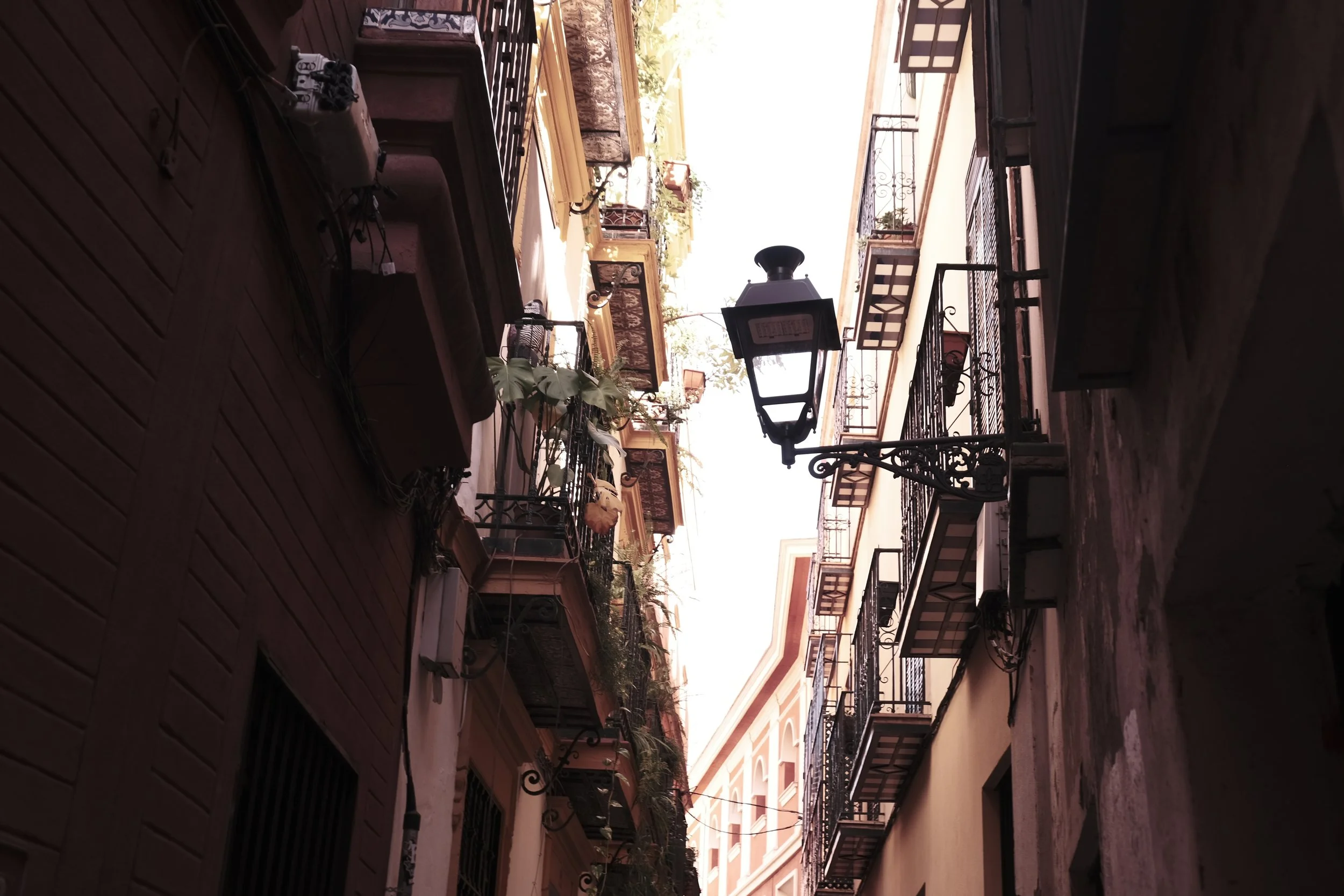 DSCF2297.JPG