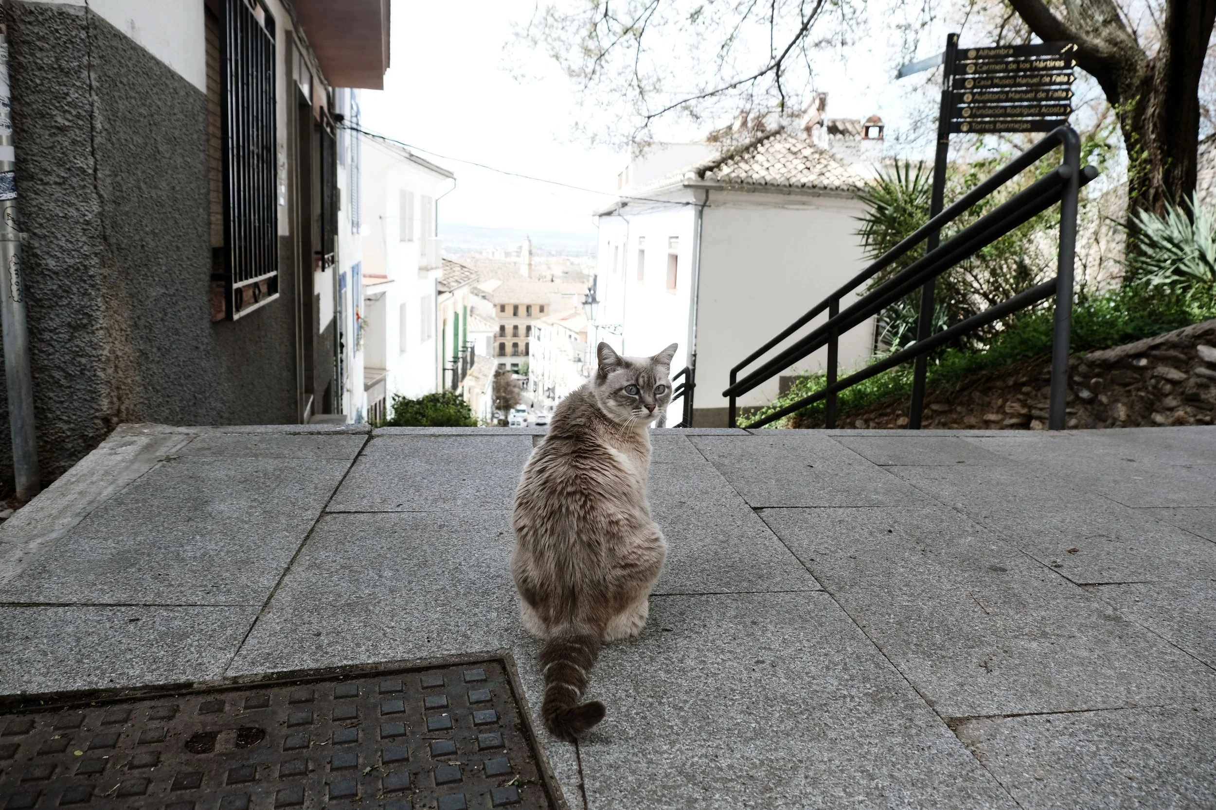 DSCF3536.JPG