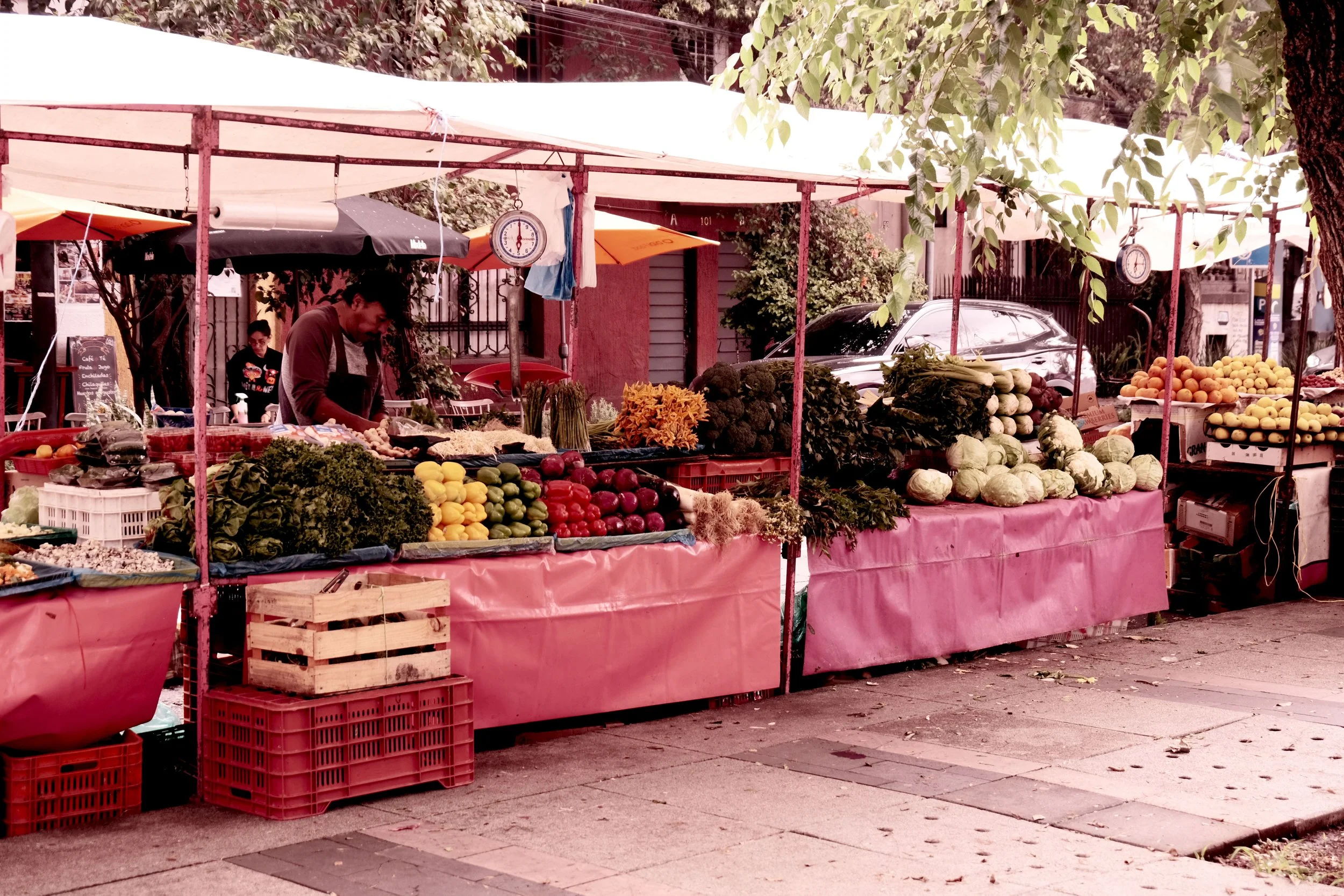 DSCF5495.JPG