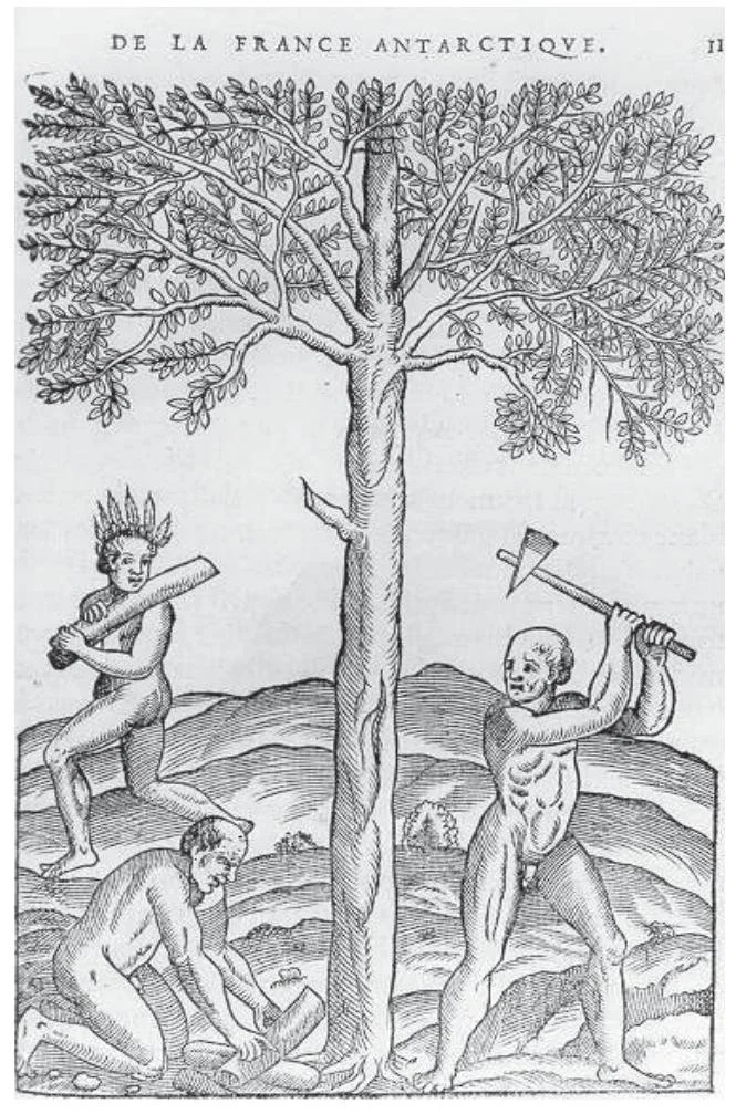 figure_002.jpg