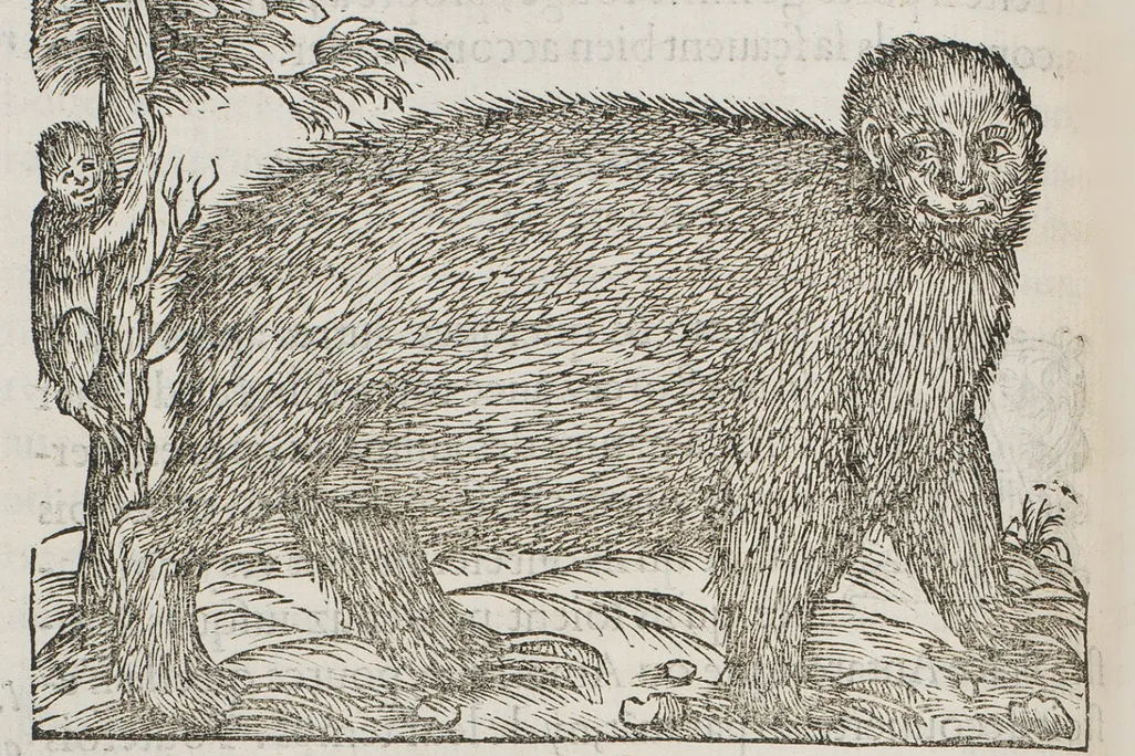 sloth-illo.jpg.png