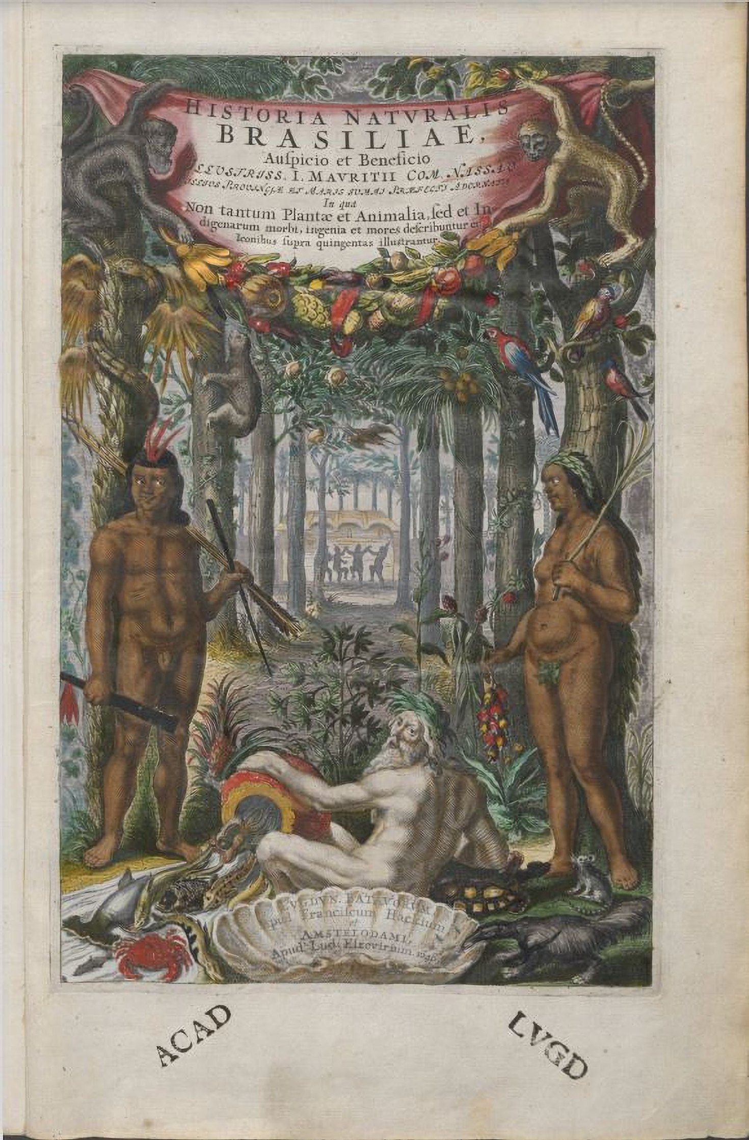 journal.pone.0276242.g001.PNG
