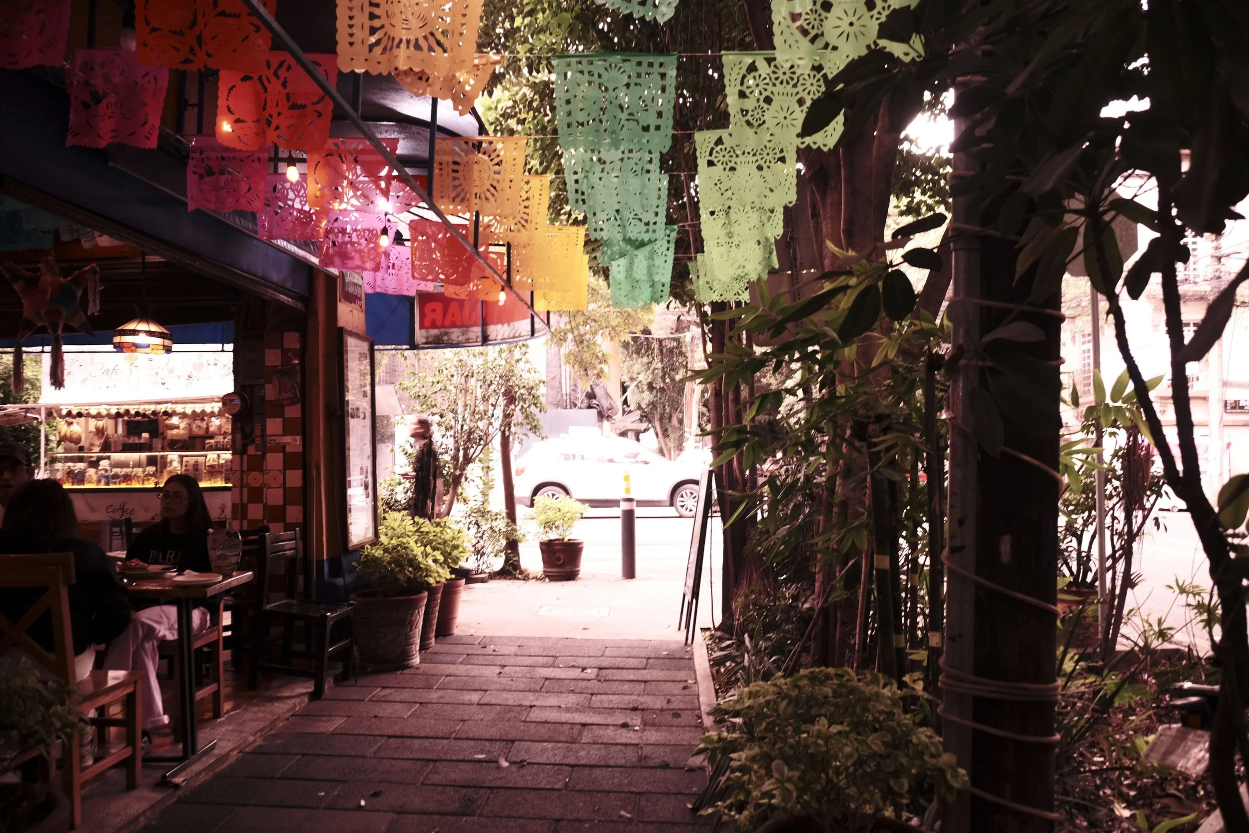 DSCF5517.JPG