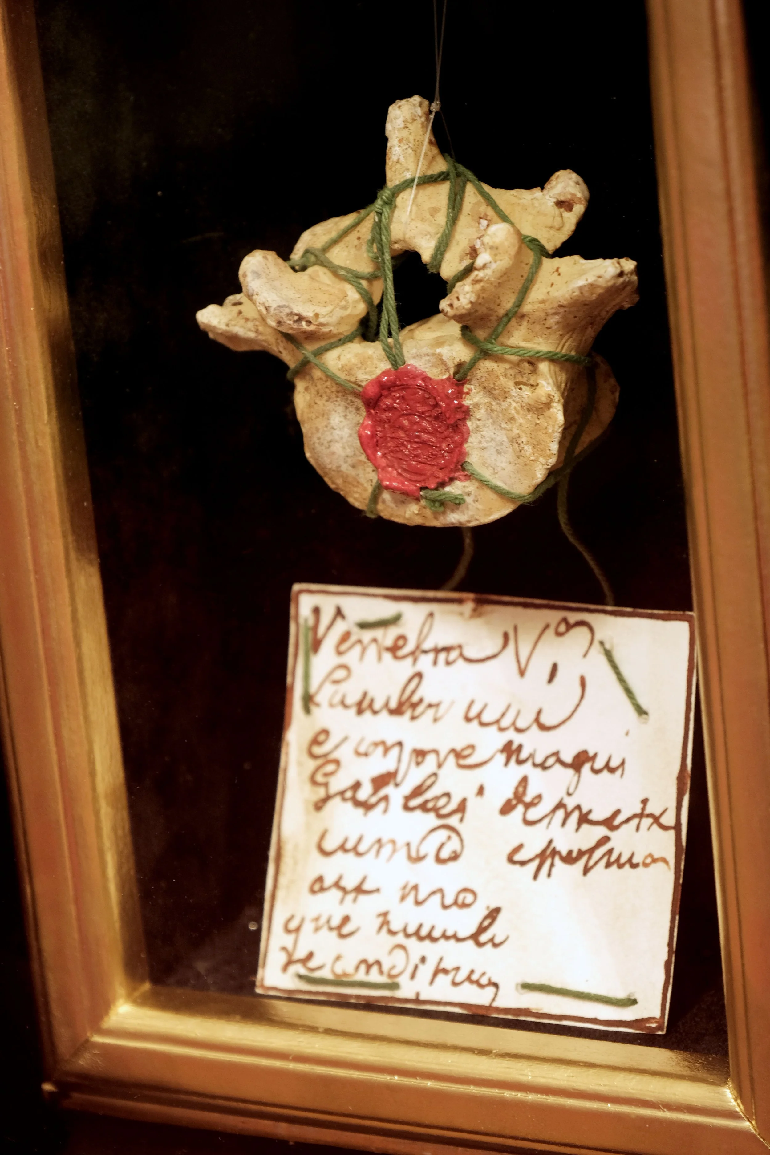 DSCF7797.JPG