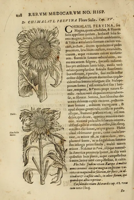 rerummedicarumno00hern_0274_medium.png