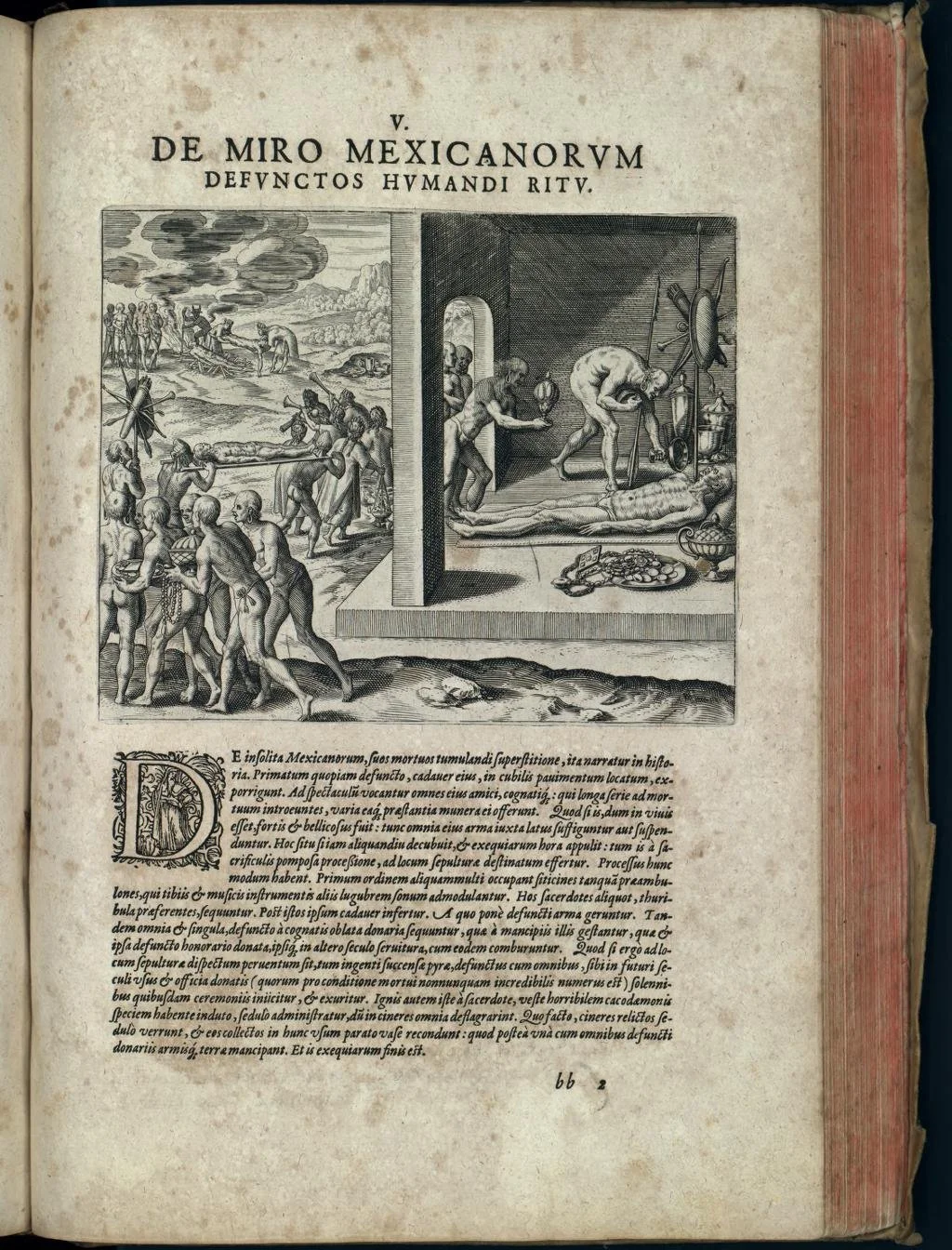 iiif-service_rbc_rbc0001_2022_d031_09_09060000-0x35x2257x2964-1024x-0-default.jpg
