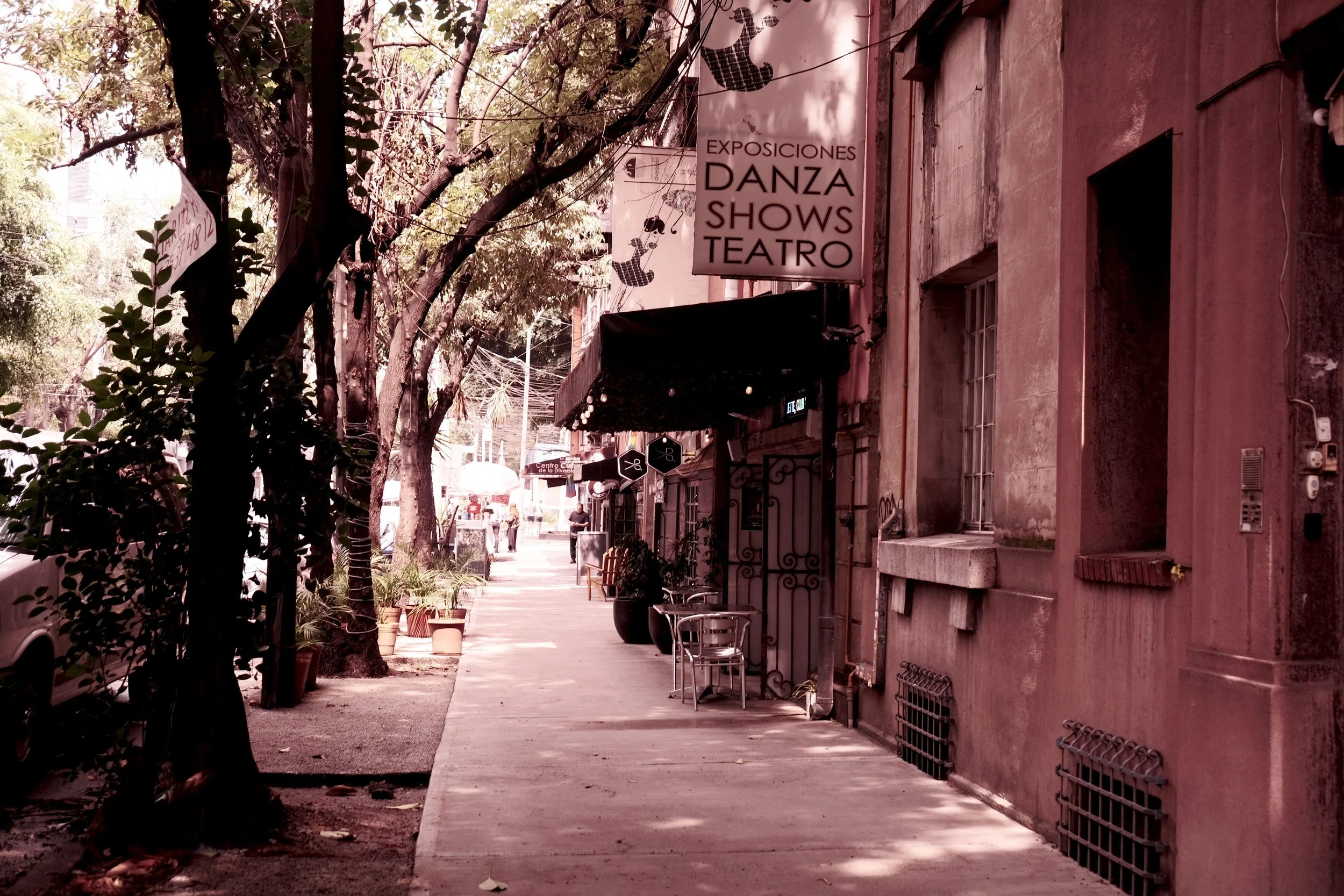 DSCF5550.JPG