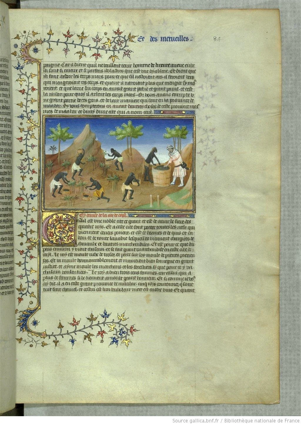 Marco_Polo,_Livre_des_merveilles,_Fr._2810,_Tav._84.jpg