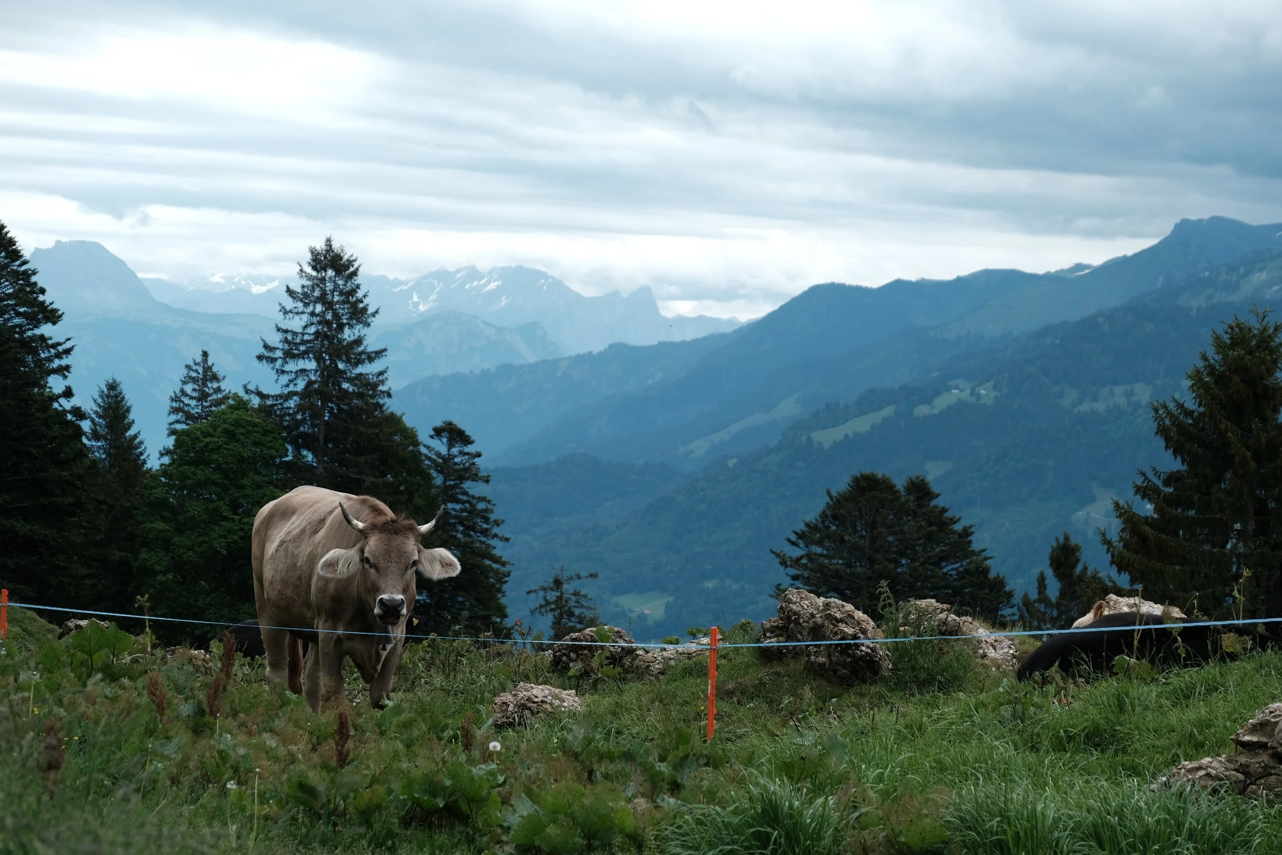 DSCF7476.JPG