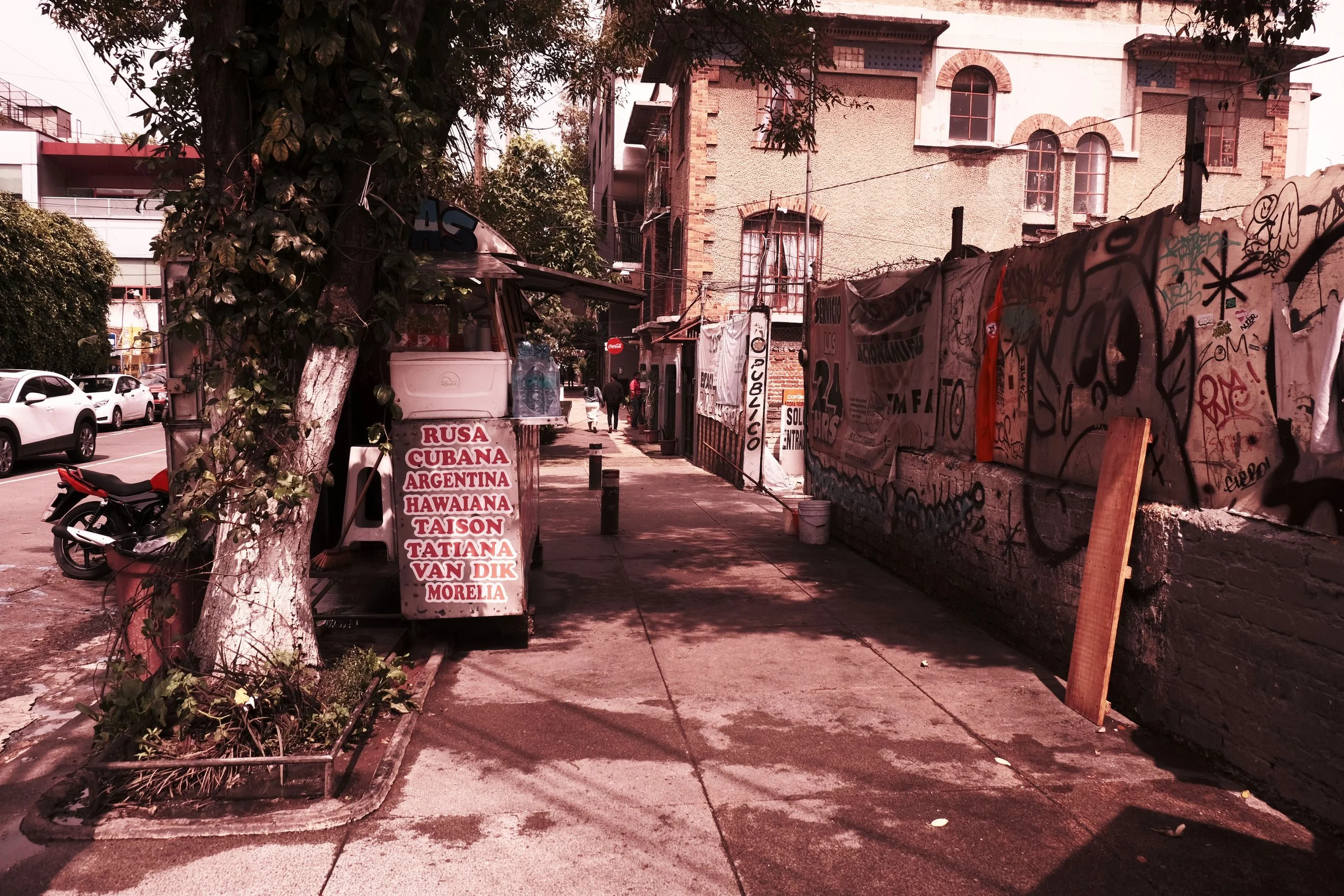 DSCF5532.JPG