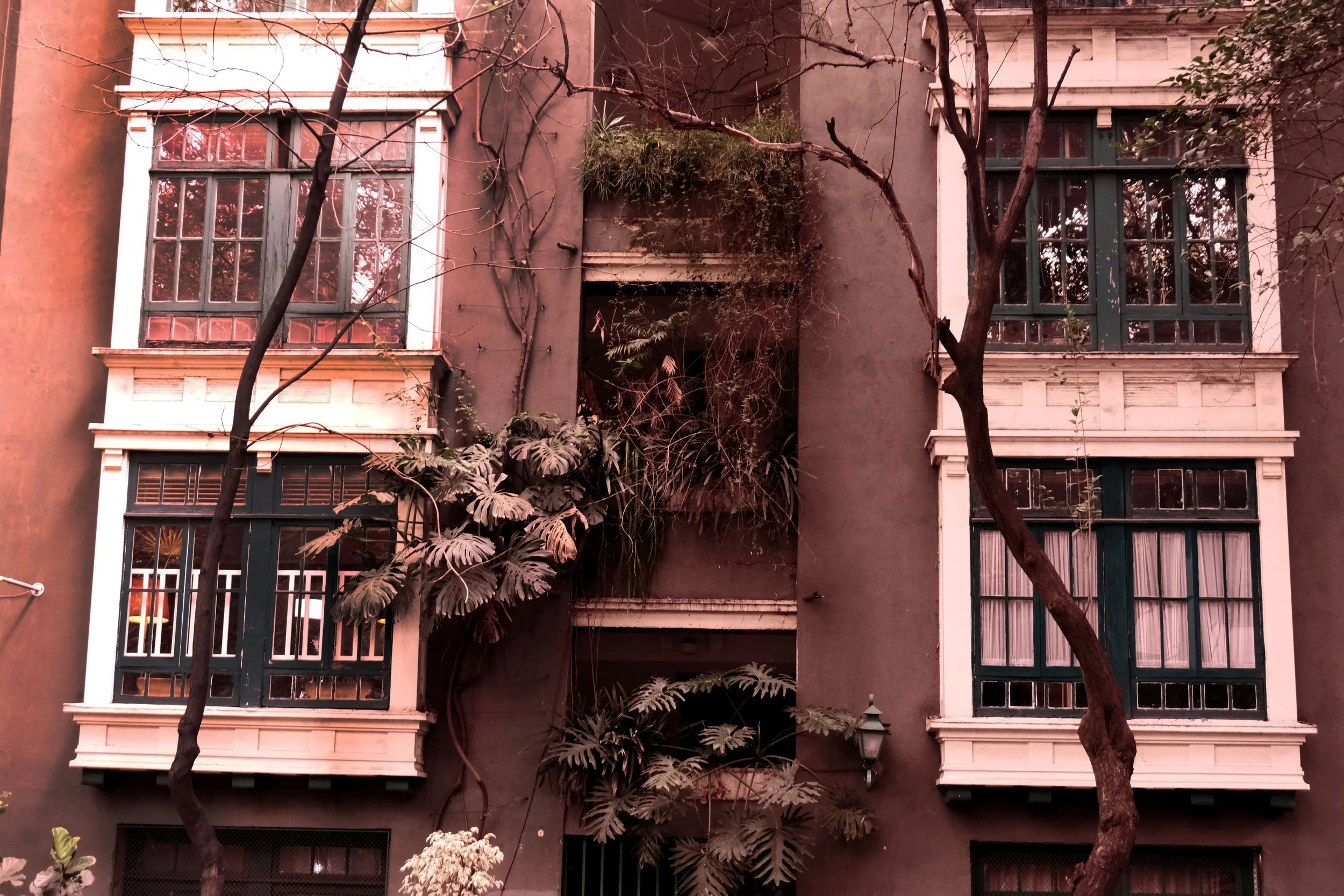 DSCF5527.JPG