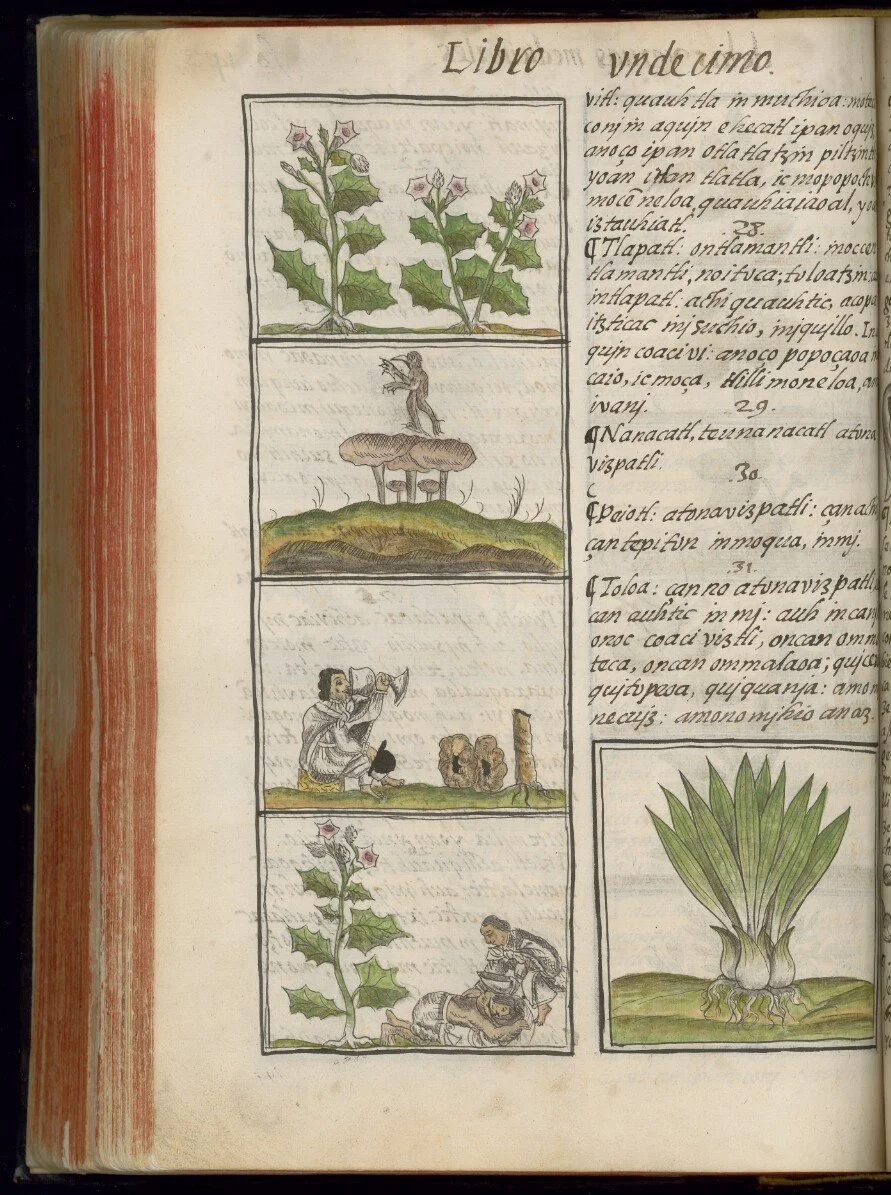 book11folio142v.jpg