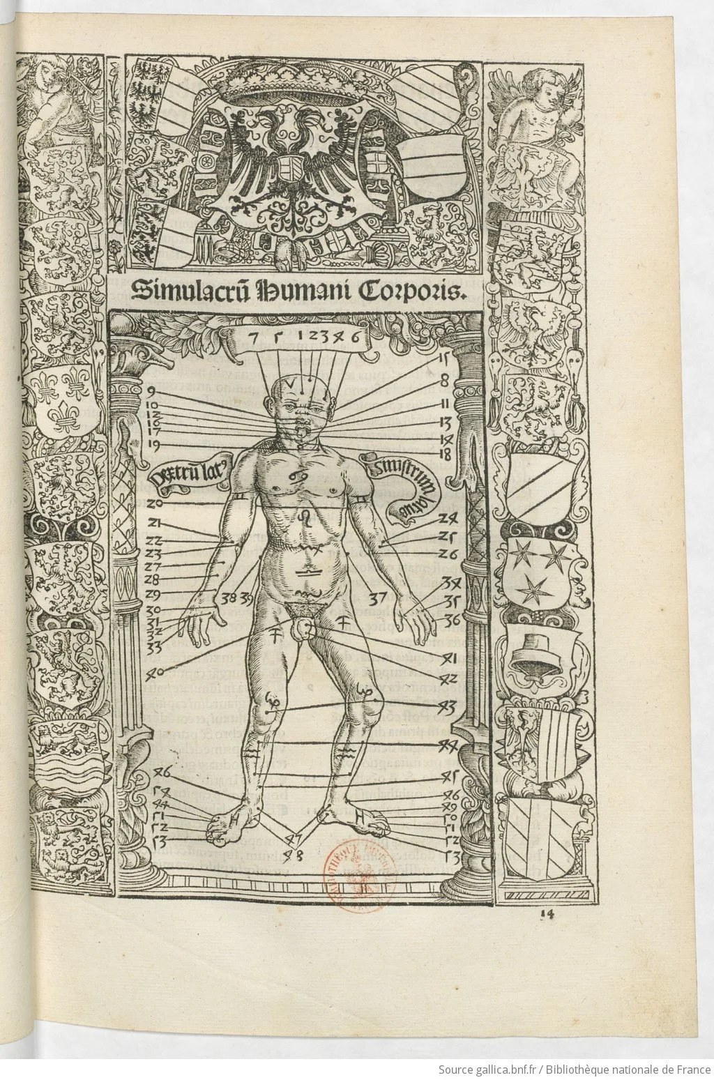 Calendarium_Romanum_magnum_Caesareae_maiestati_[...]Stöffler_Johann_btv1b55007626w_63.jpeg