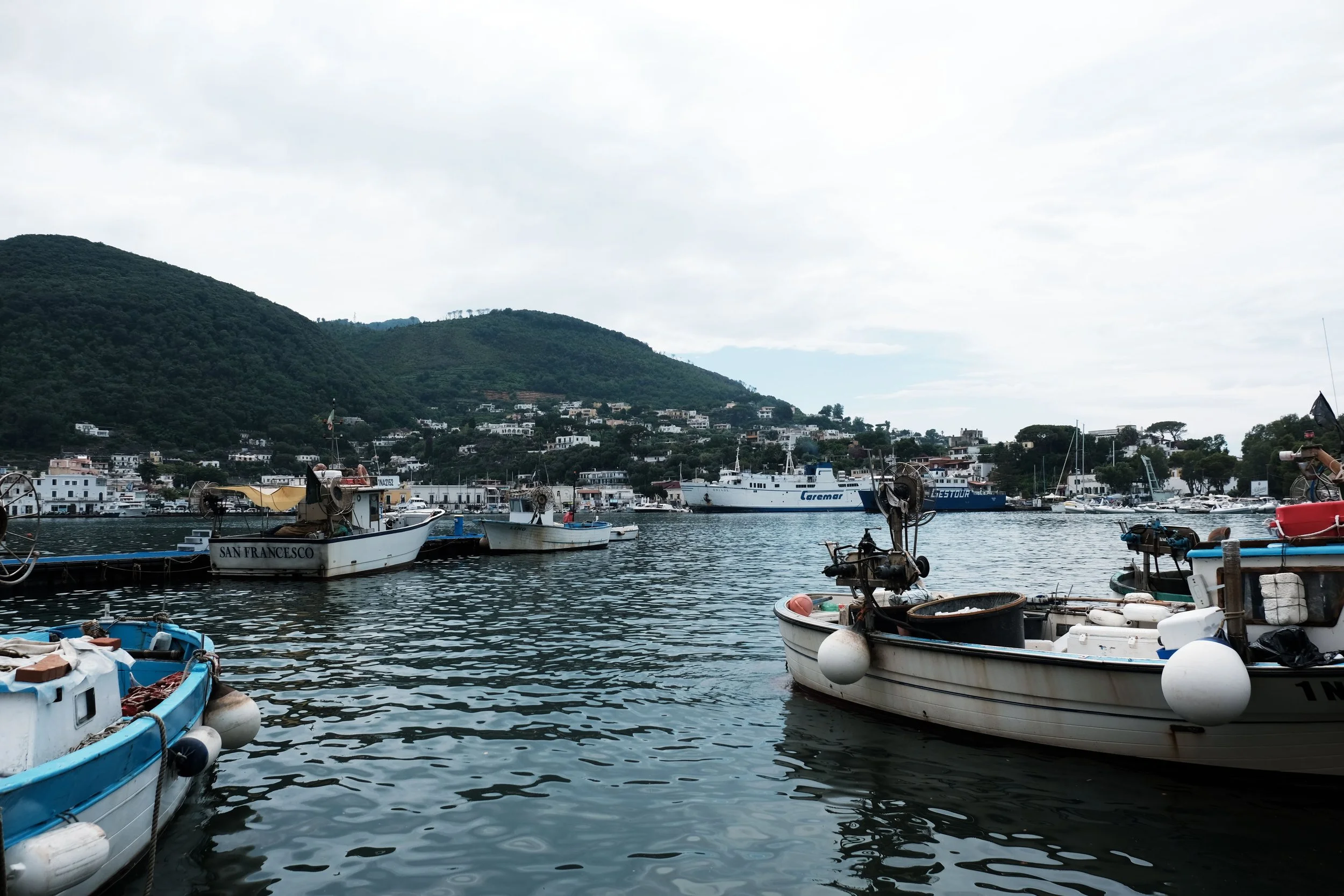 DSCF8070.JPG